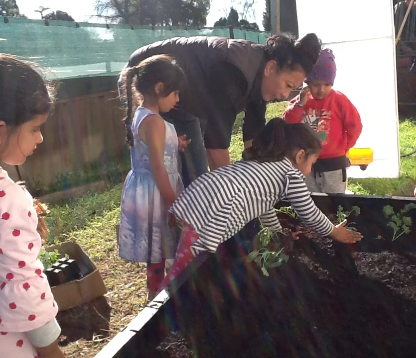 Planting cauliflower, onions, spring onions, rhubarb, kale, silverbeet and broccoli.