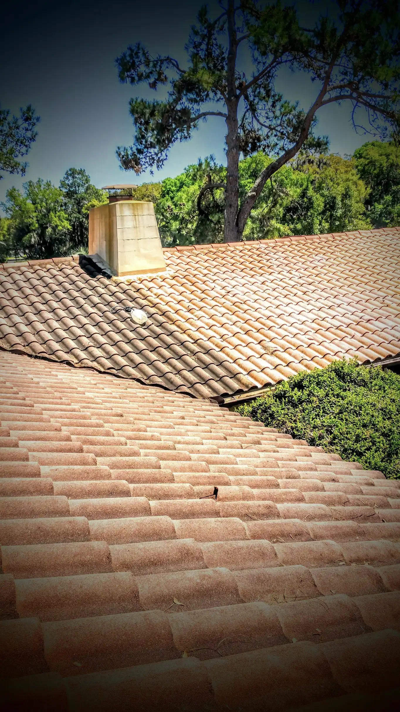 Before & After roof cleaning of terra-cotta clay roof