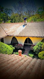 Terra Cotta Roof