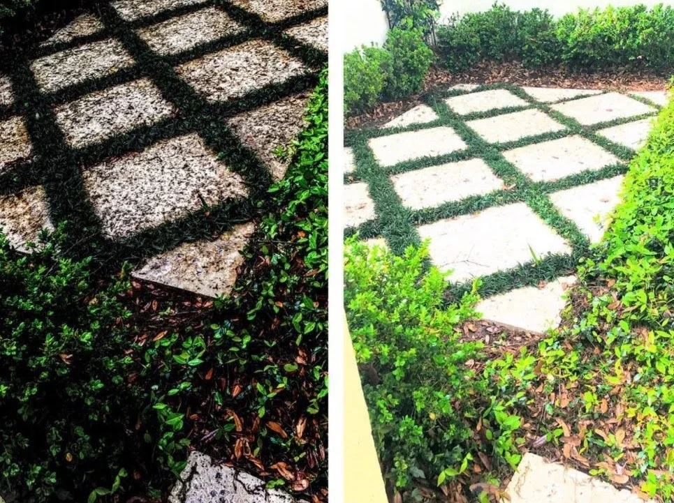 Pressure washing concrete paver blocks