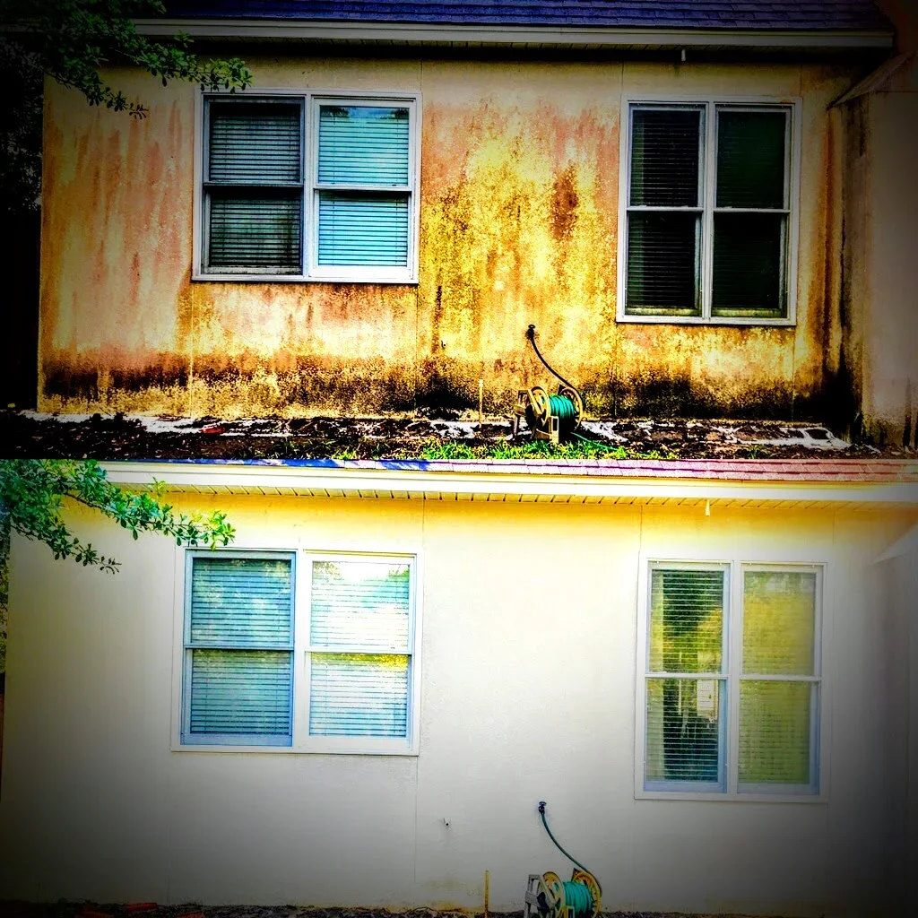 Comparison image showing a house's exterior wall before and after cleaning, with windows and a garden hose reel.