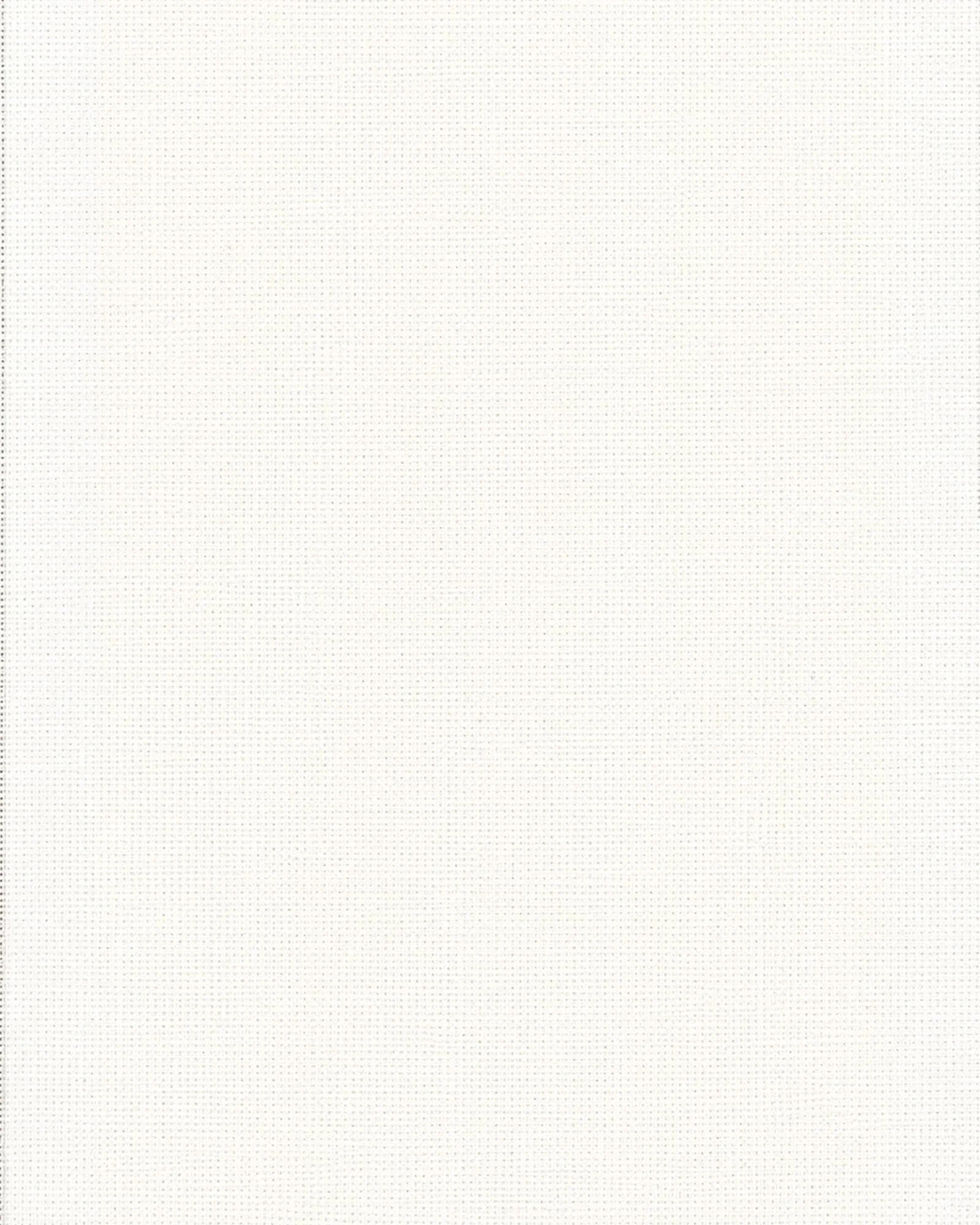 bg.jpg