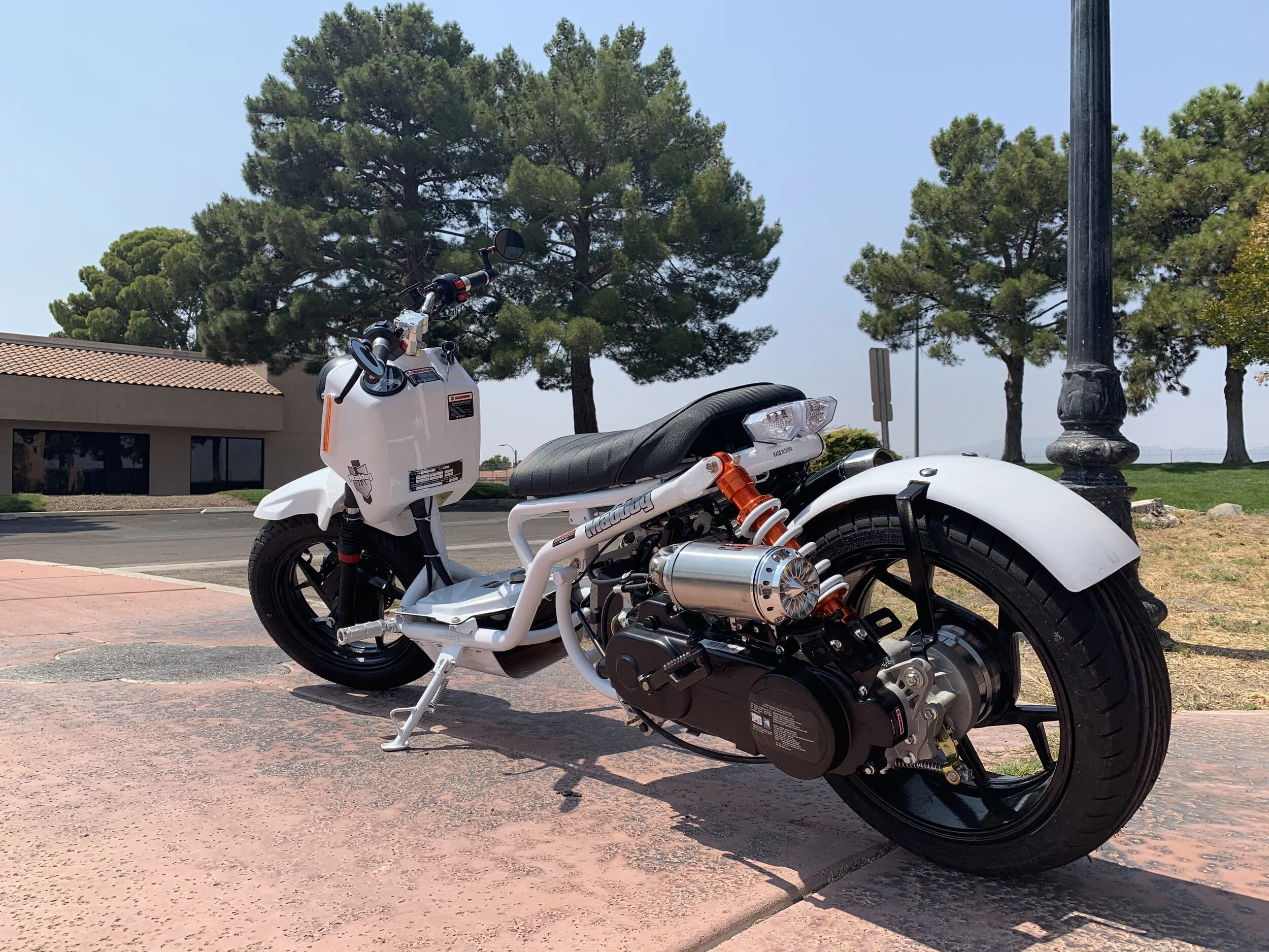 ICEBEAR MADDOG gen 5 BABY PMZ5022 49CC — Blackjack Mopeds & Scooters