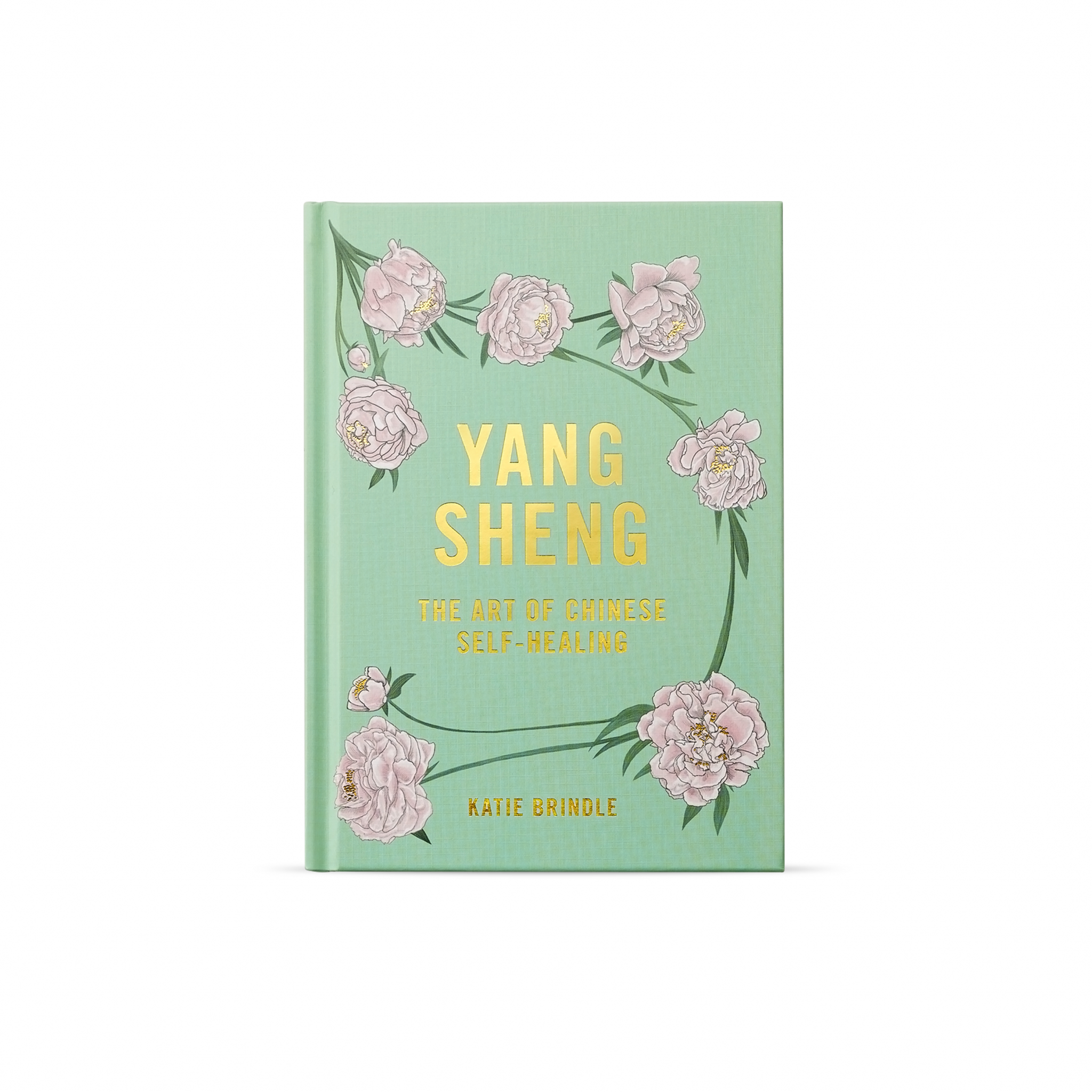 hayou_katie_brindle_yang_sheng_book-2048x2048.png