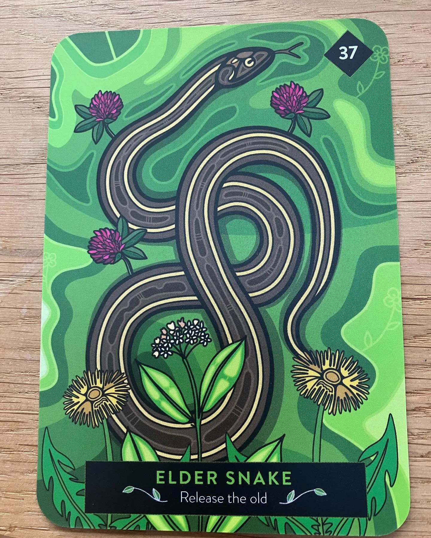 It&rsquo;s the Chinese year of the snake but what does the shaman and indigenous people say of this wise animal ? 🐍 
I personally am terrified of snakes in real life but I love to see them when working energetically because just as a snake sheds its