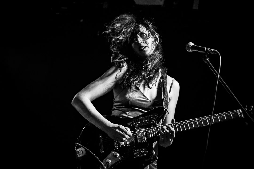 Sharkmuffin-14.jpg