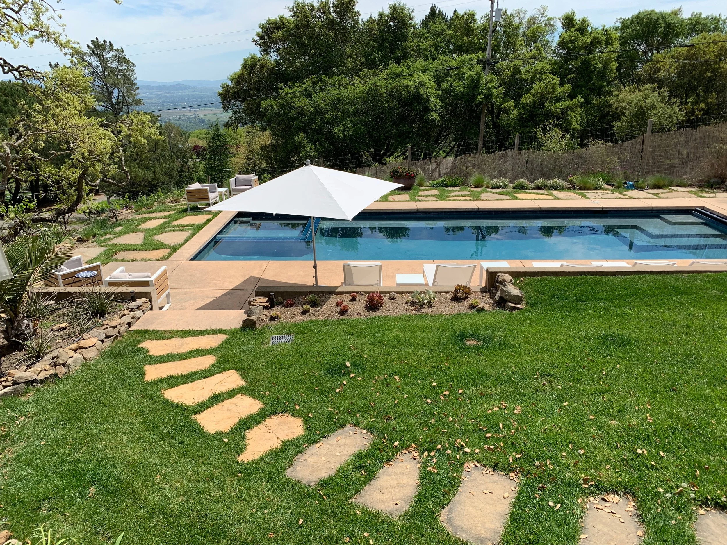 lawn and pool.JPG