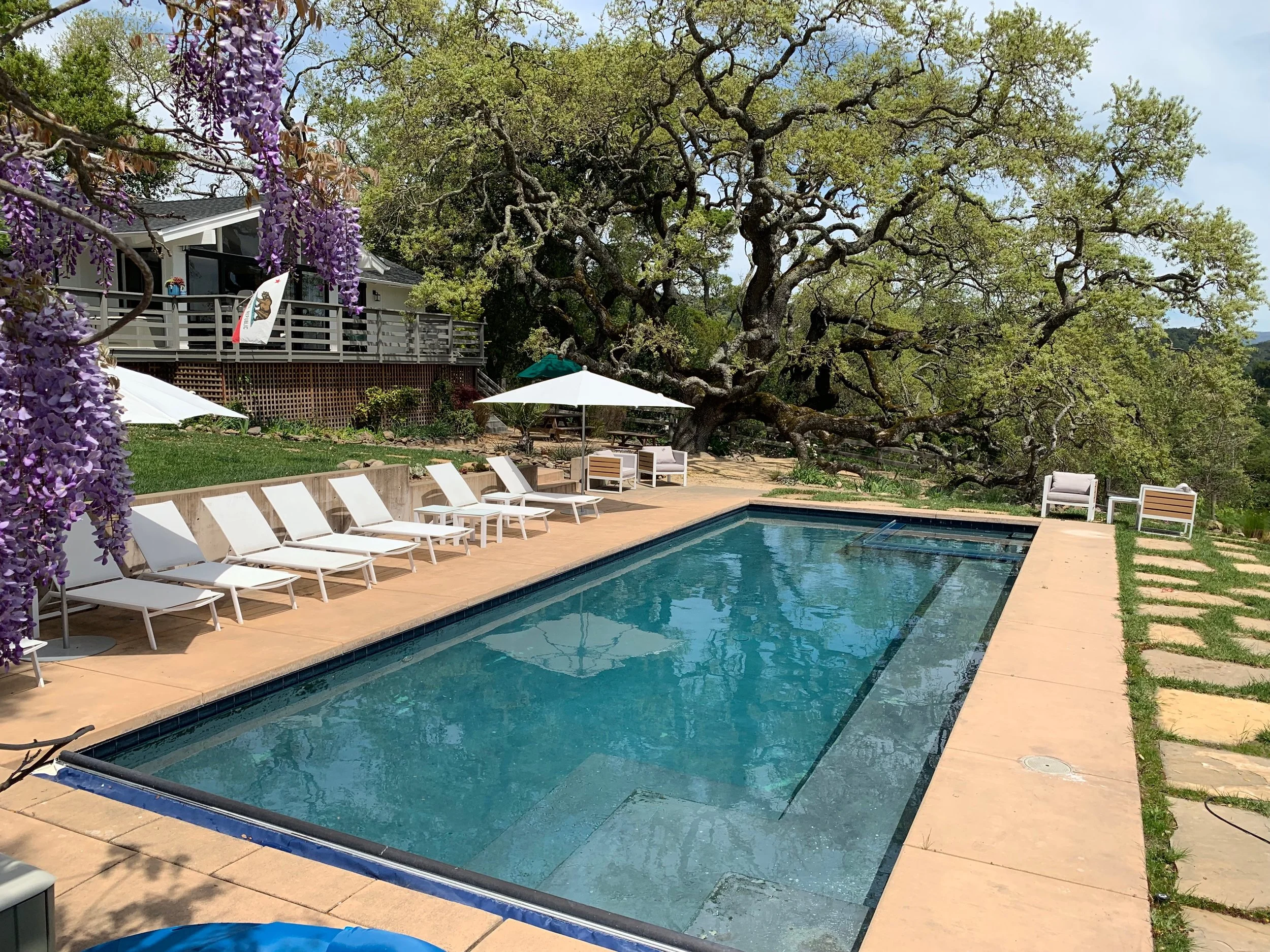 pool from lanai.JPG