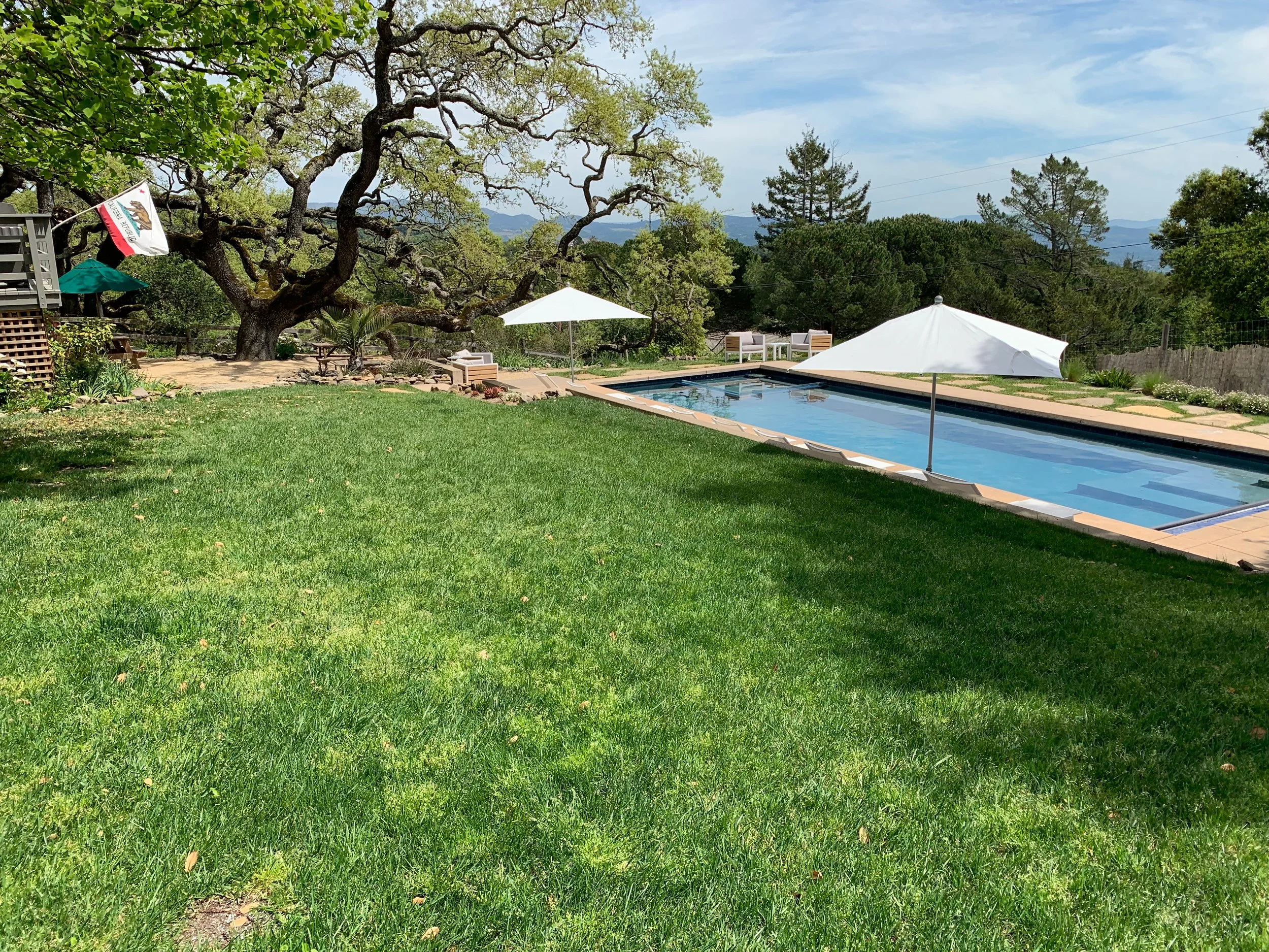 back lawn.JPG