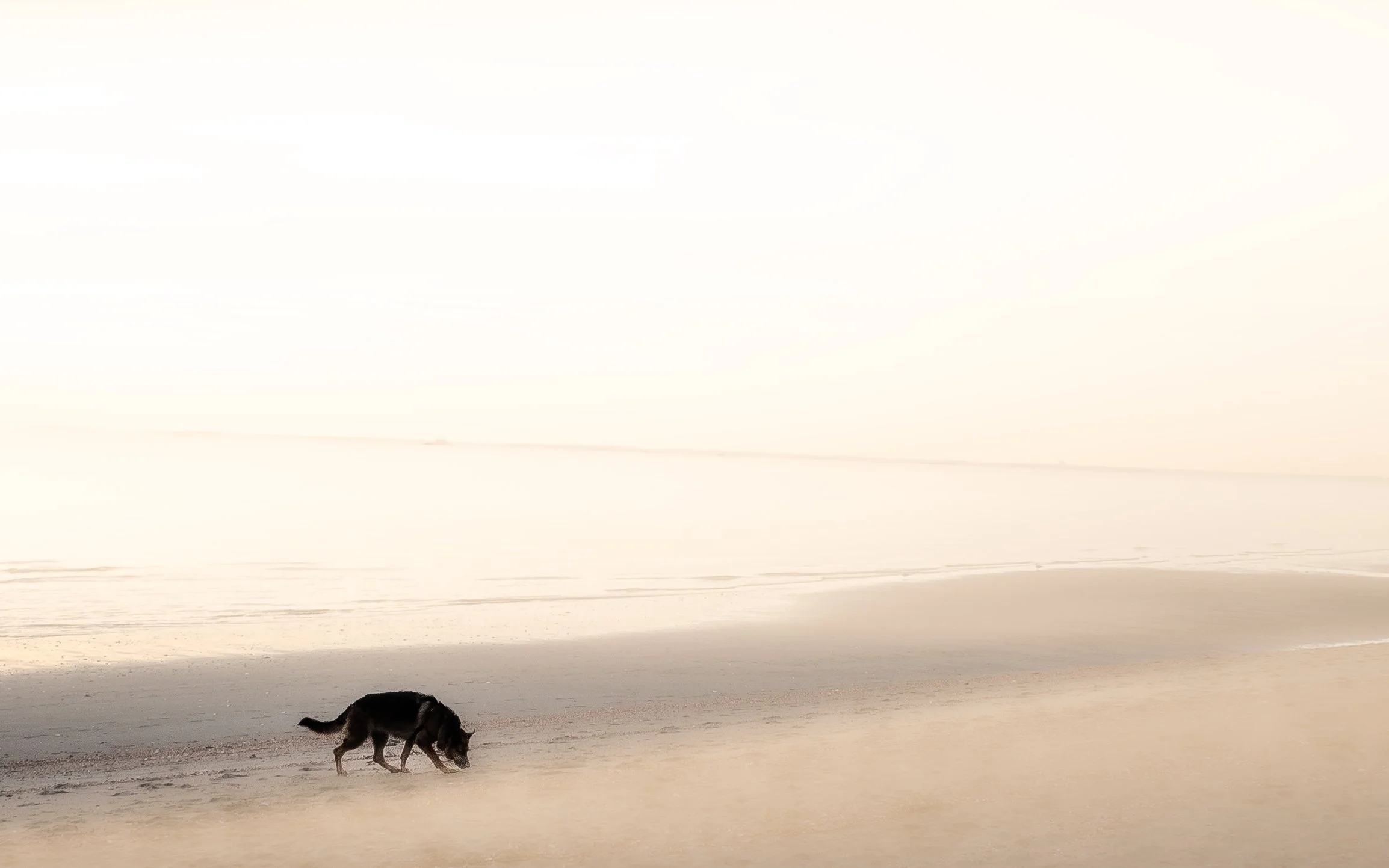 Shepherd's Beach.jpg