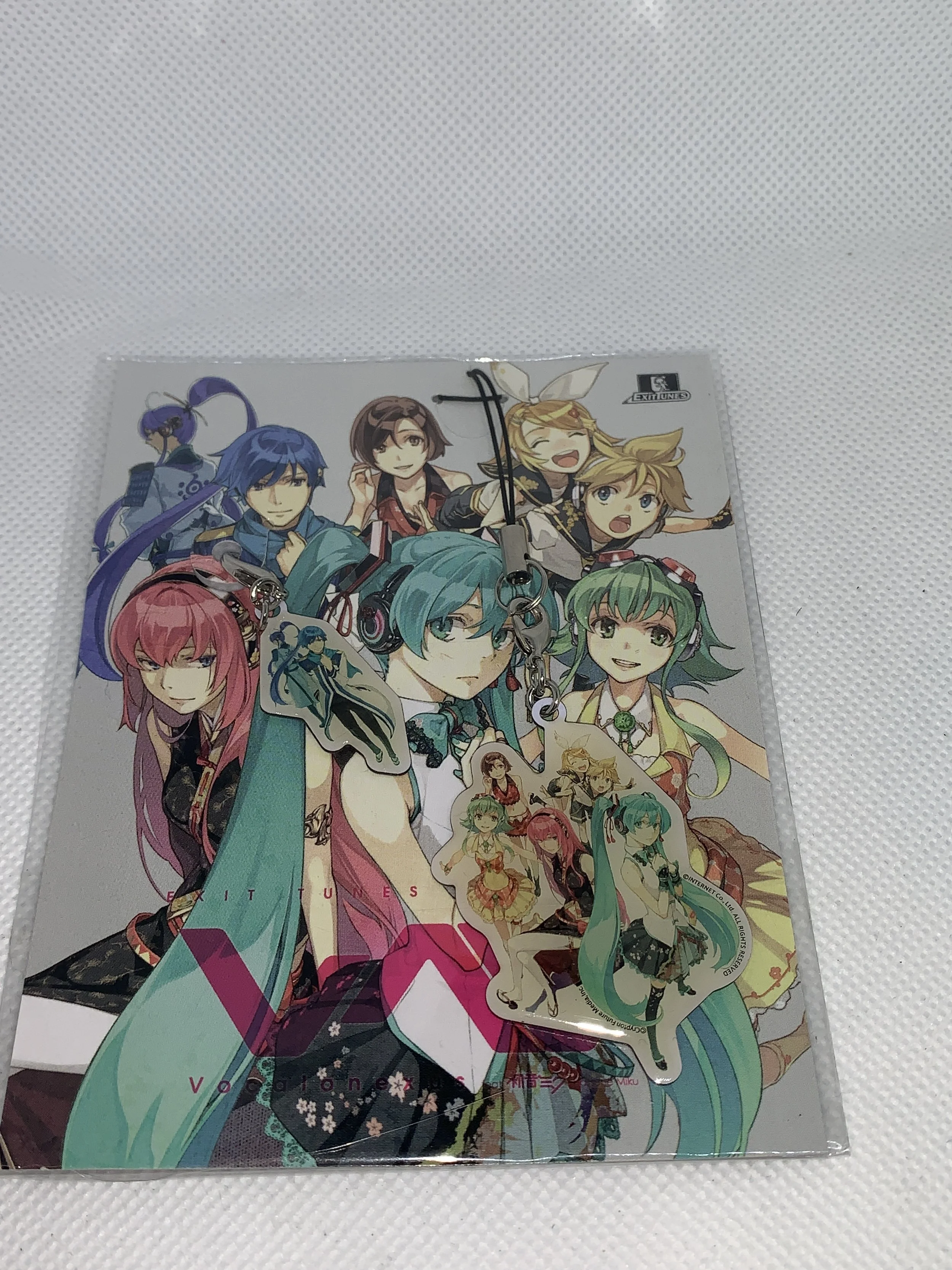 Vocaloid Group Keychain set