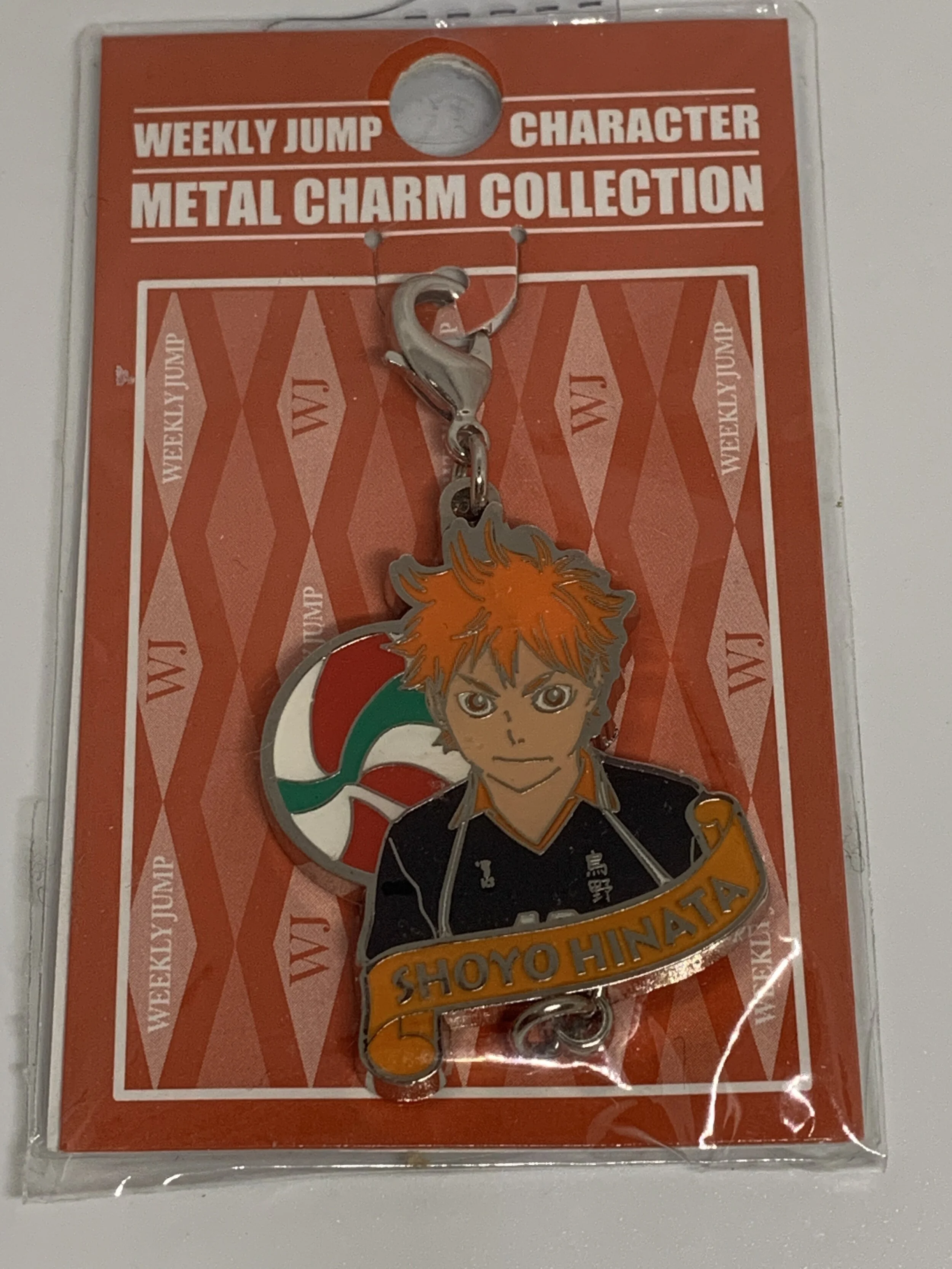 Hinata Shoyo Metal Charm