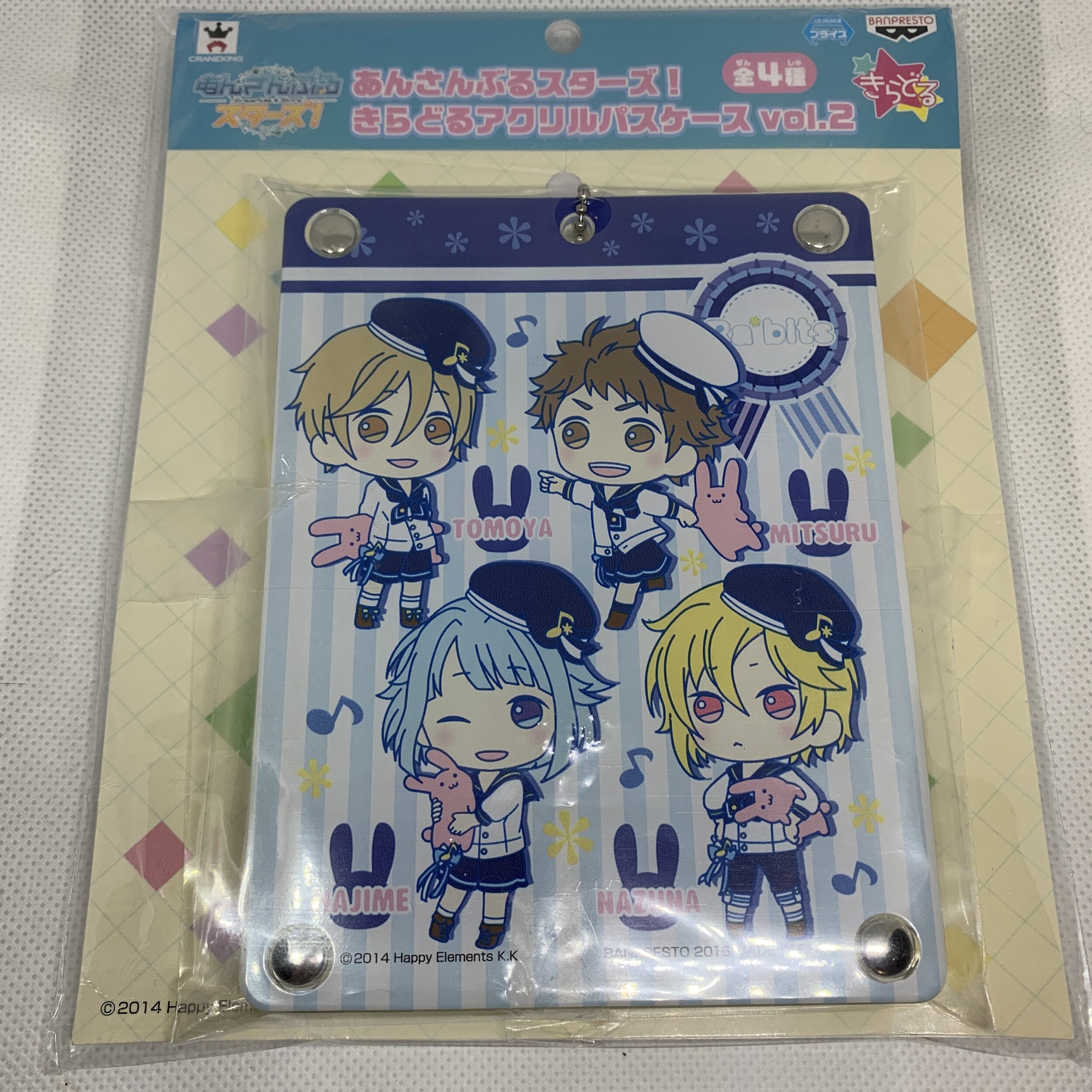 R*bits Hard Card Case