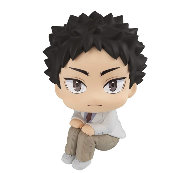 Hajime Iwaizumi Look Up Figure