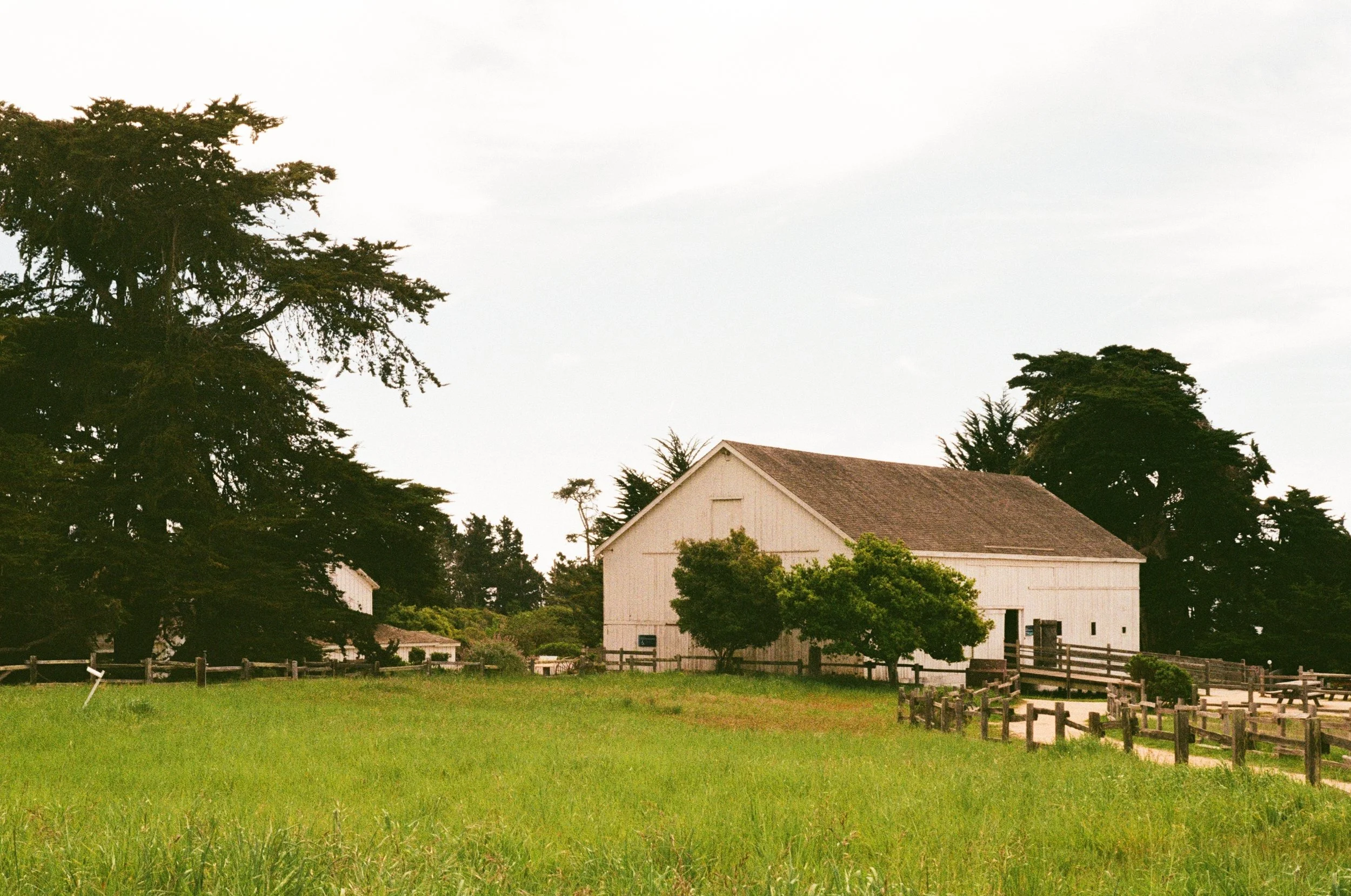 What kind of therapy is right for you?