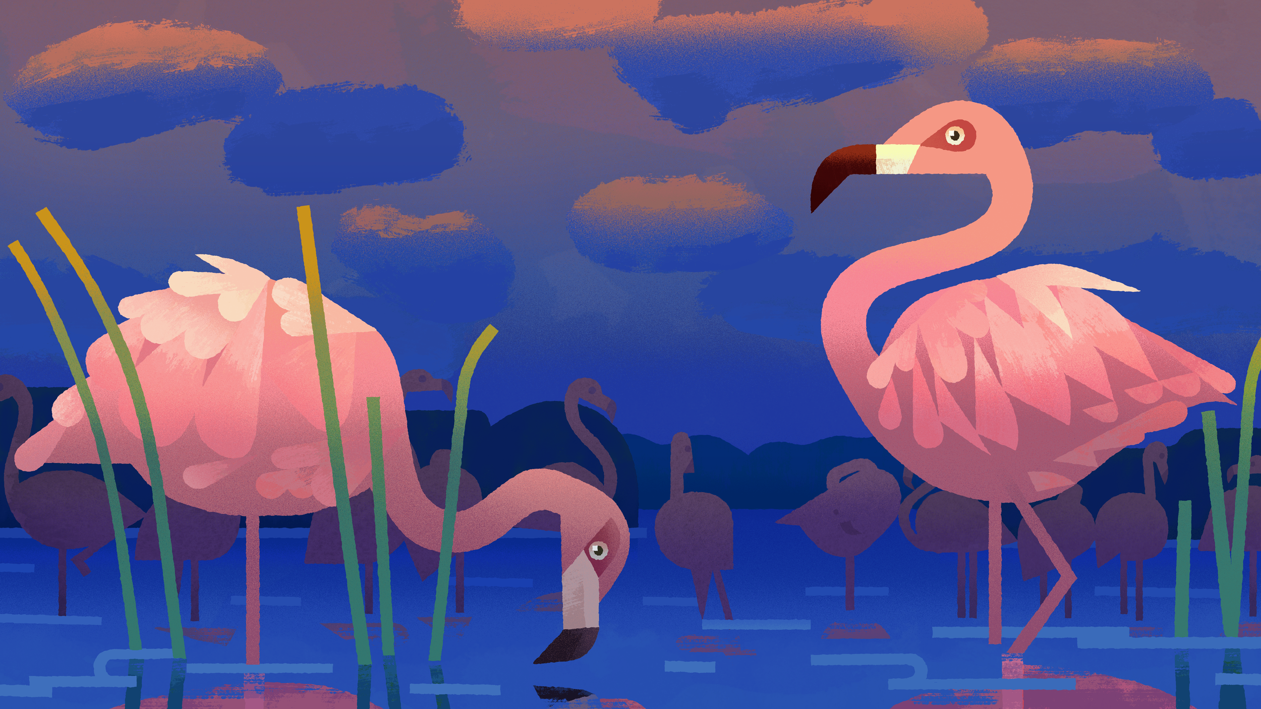 birds001_V017 copy.png