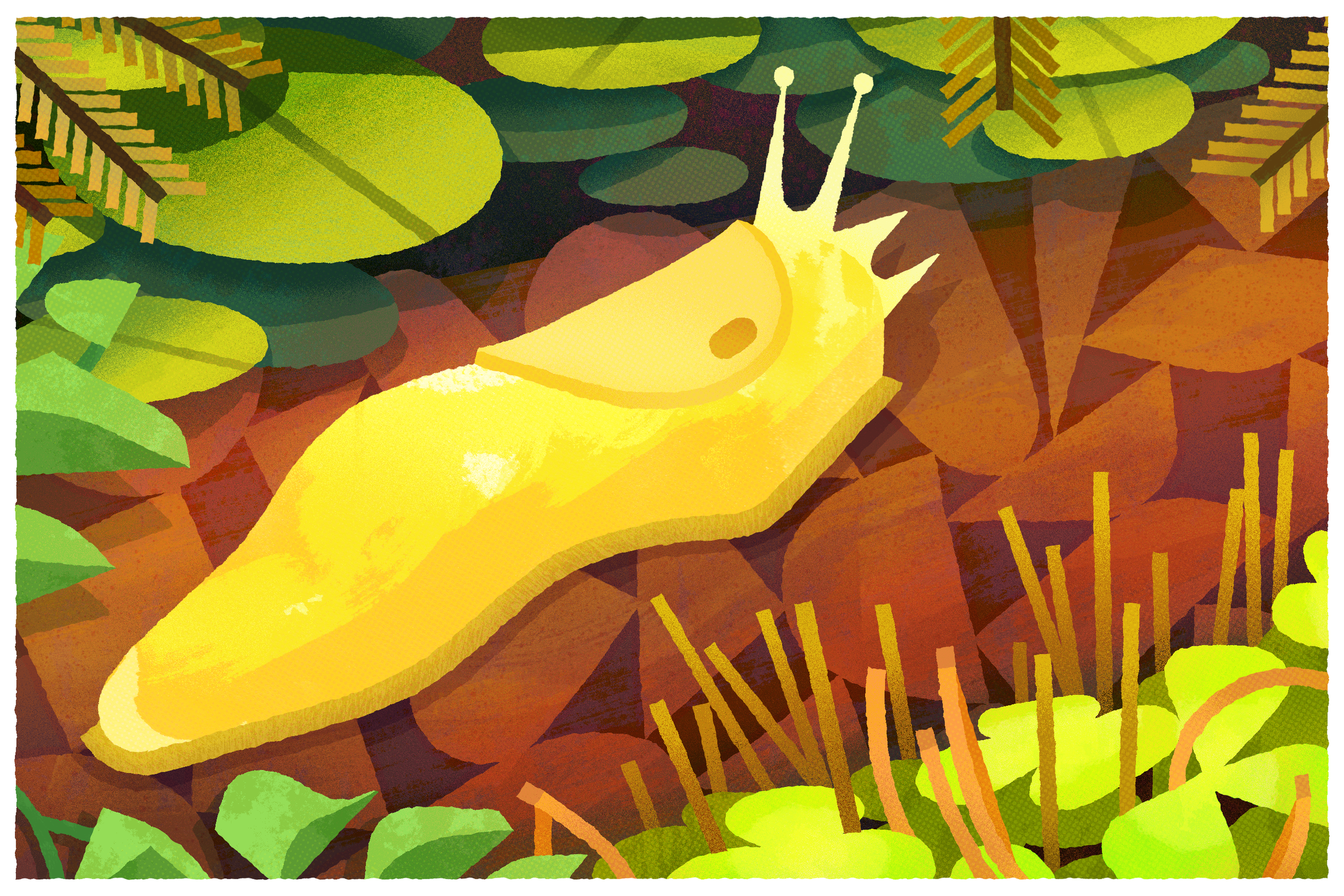 BananaSlug011_V007.png