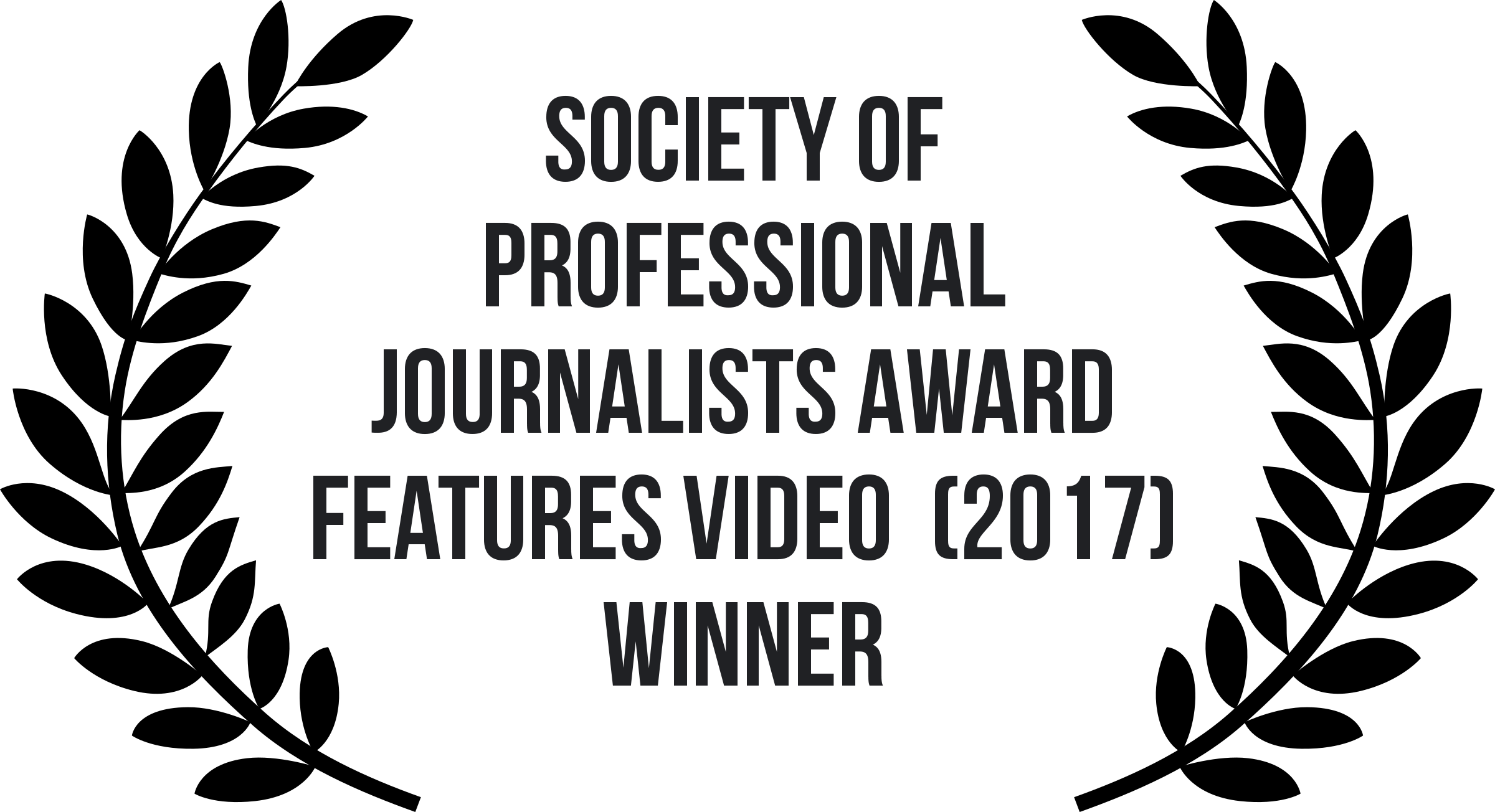 8-ProfessionalJournalists5.png