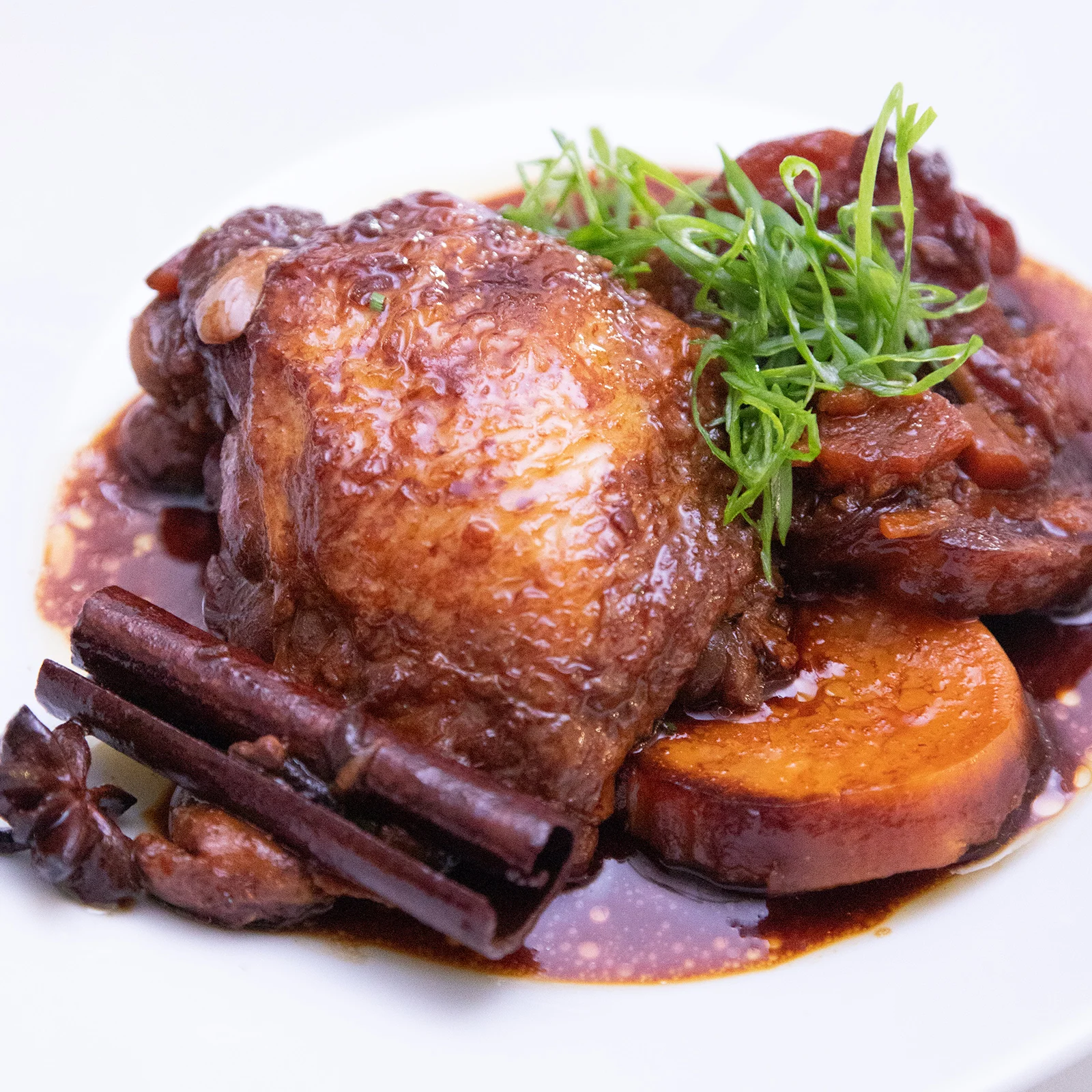 Pressure Cooker Soy and Garlic Braised Chicken