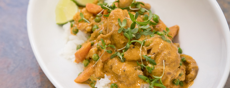 Easy Chicken Curry Medallions