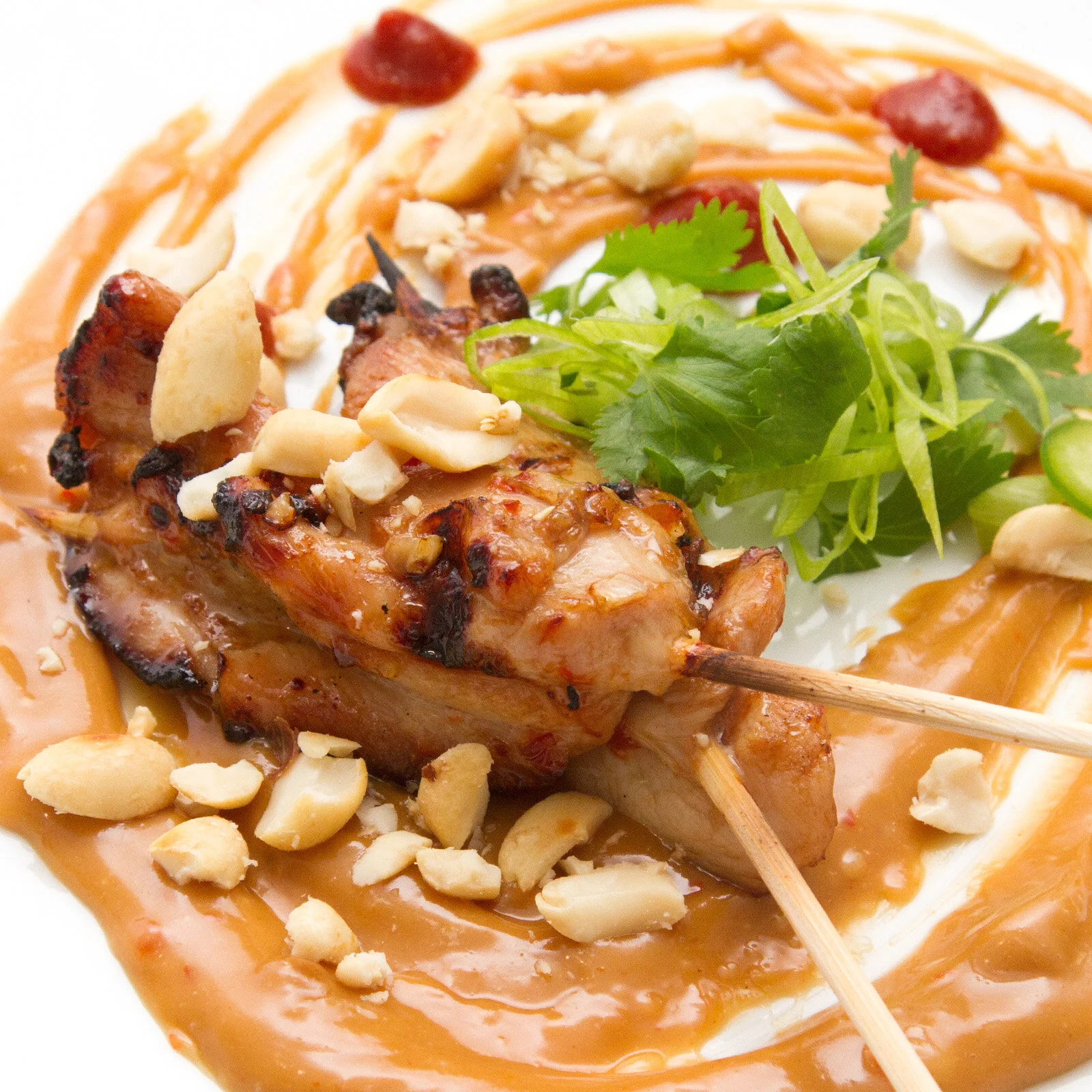 Chicken Satay With Peanut Sauce