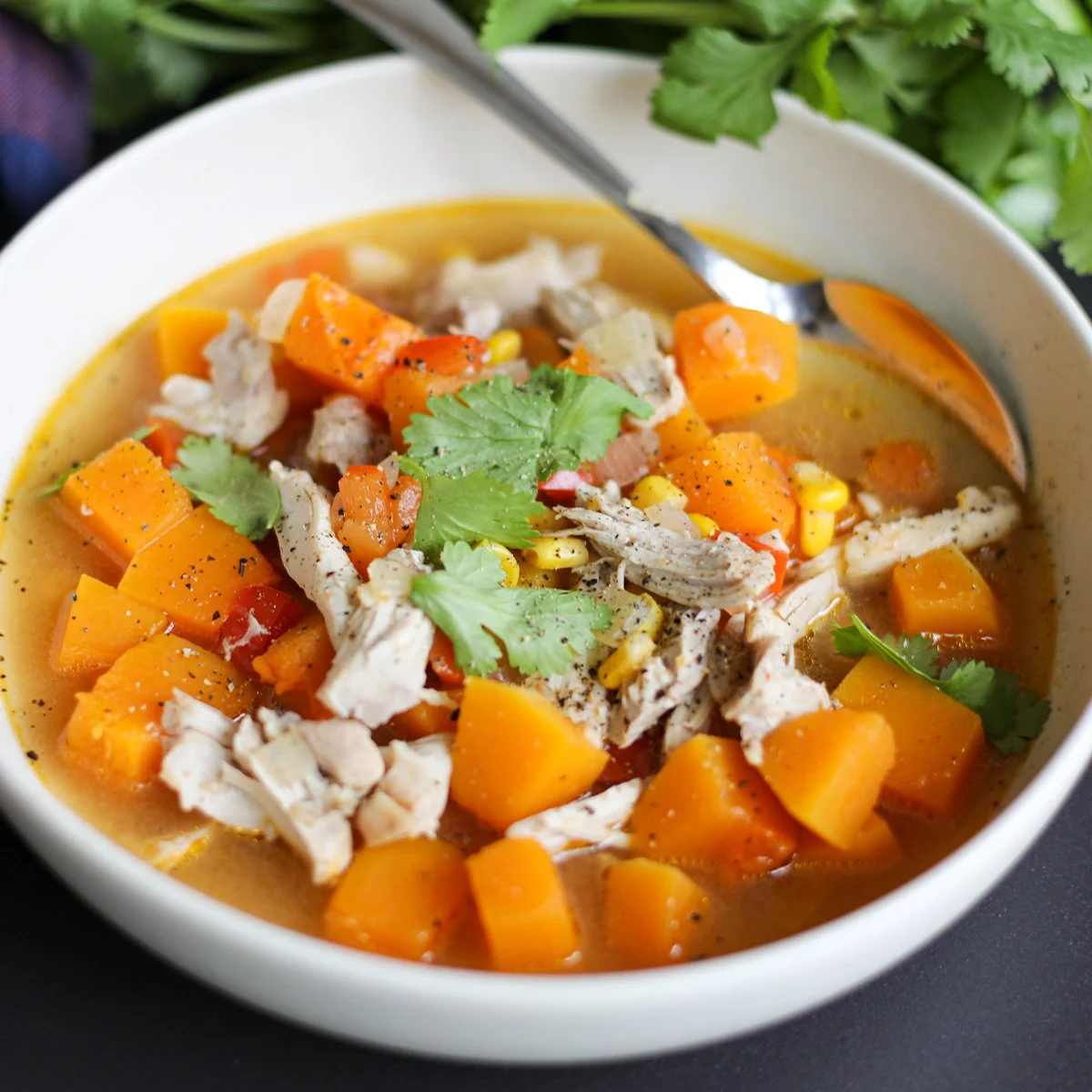 Butternut Squash and Chicken Soup