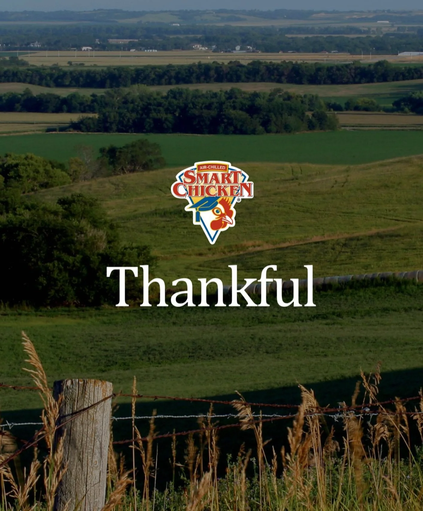 We&rsquo;re grateful for the people who make Smart Chicken possible: our growers, who raise every bird with care and a commitment to animal welfare; our employees, whose hard work and passion bring our chicken to your table; and our customers, whose 