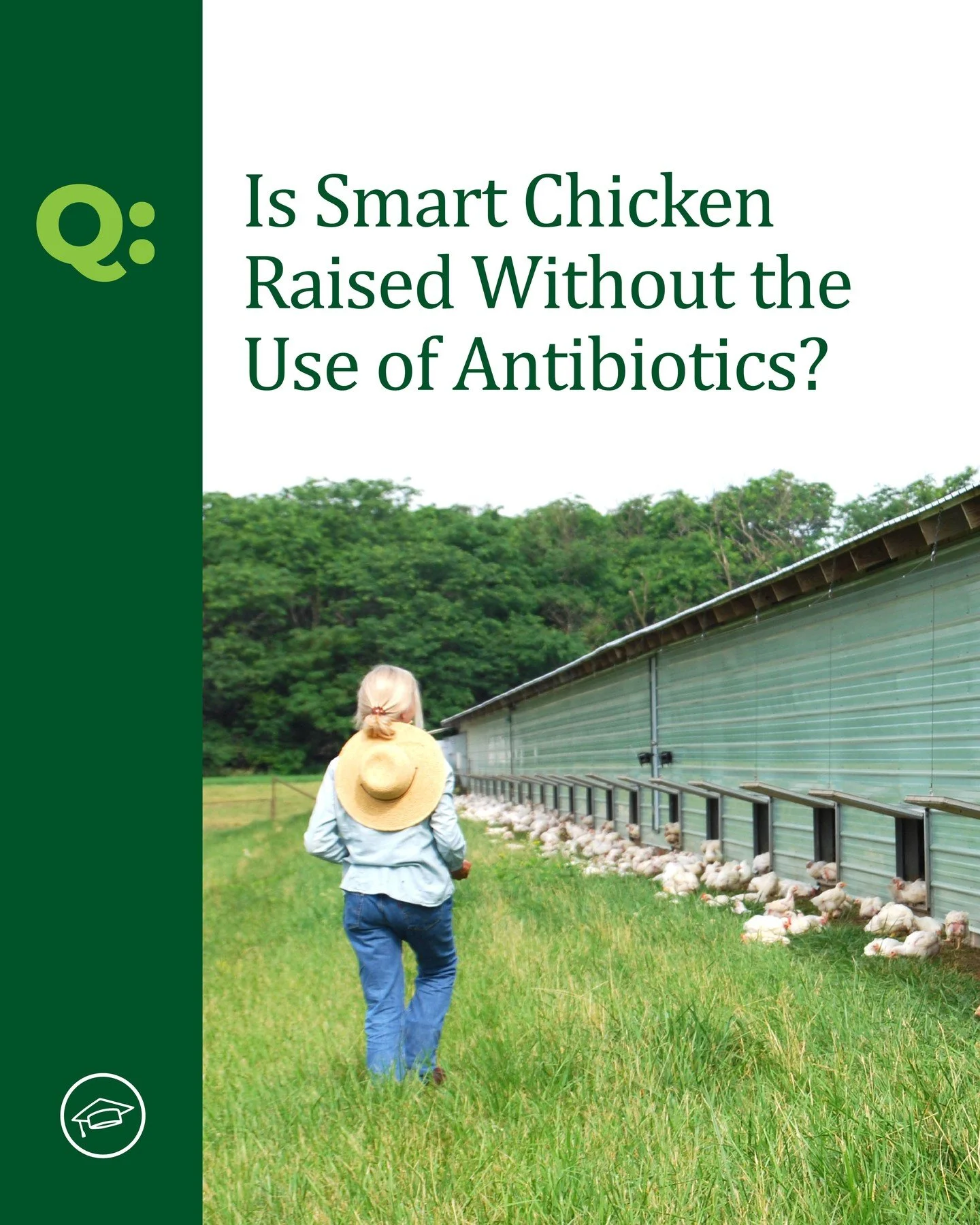 At Smart Chicken, antibiotics are never part of the equation. Instead, we focus on creating the healthiest environment for our birds, preventing illness naturally and ensuring every chicken meets the highest standards of care.

All Smart Chicken prod