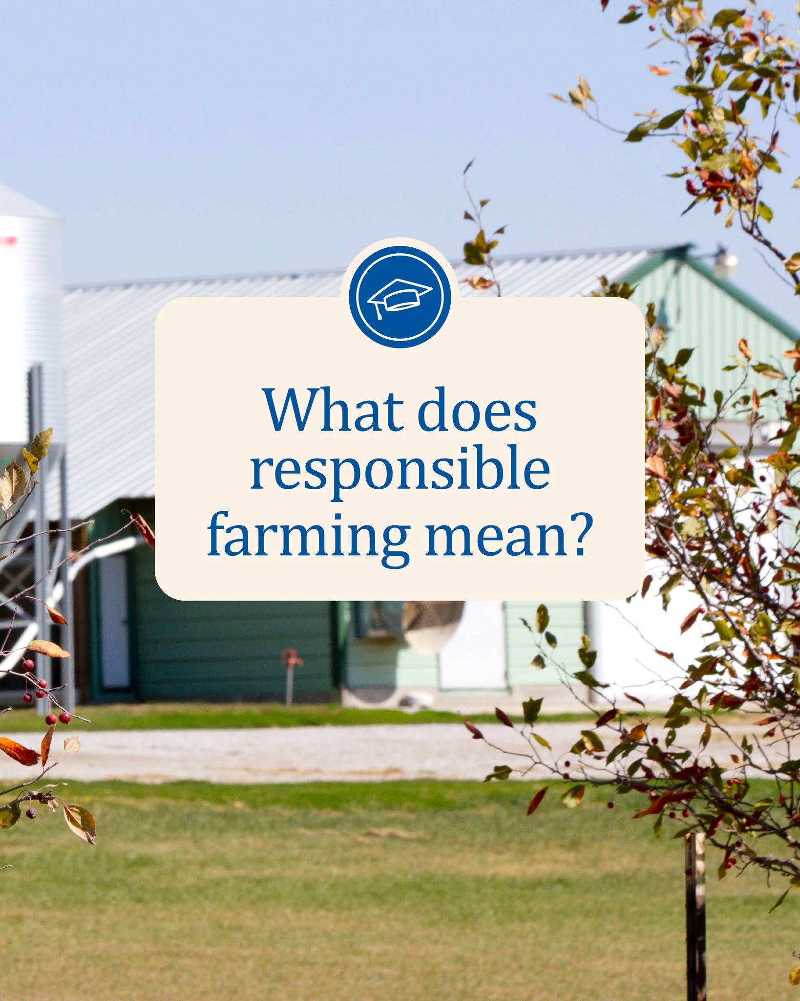 Responsible farming is more than a buzzword&mdash;it&rsquo;s a commitment to animals, people, and the future of food.

At Smart Chicken, it means raising chickens humanely and without antibiotics, choosing air-chilling for better quality and flavor, 