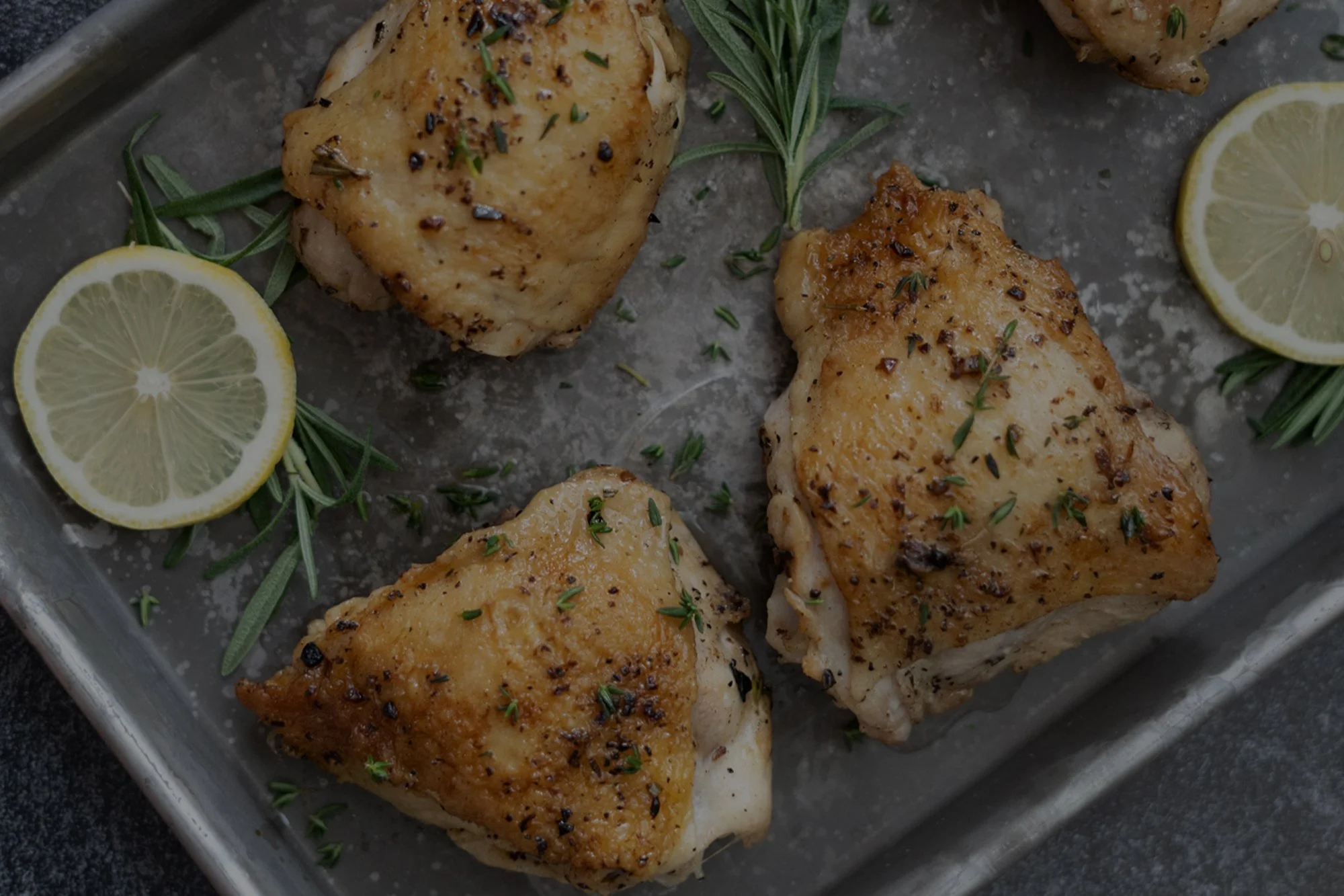 Secrets of the sear-web copy.jpg