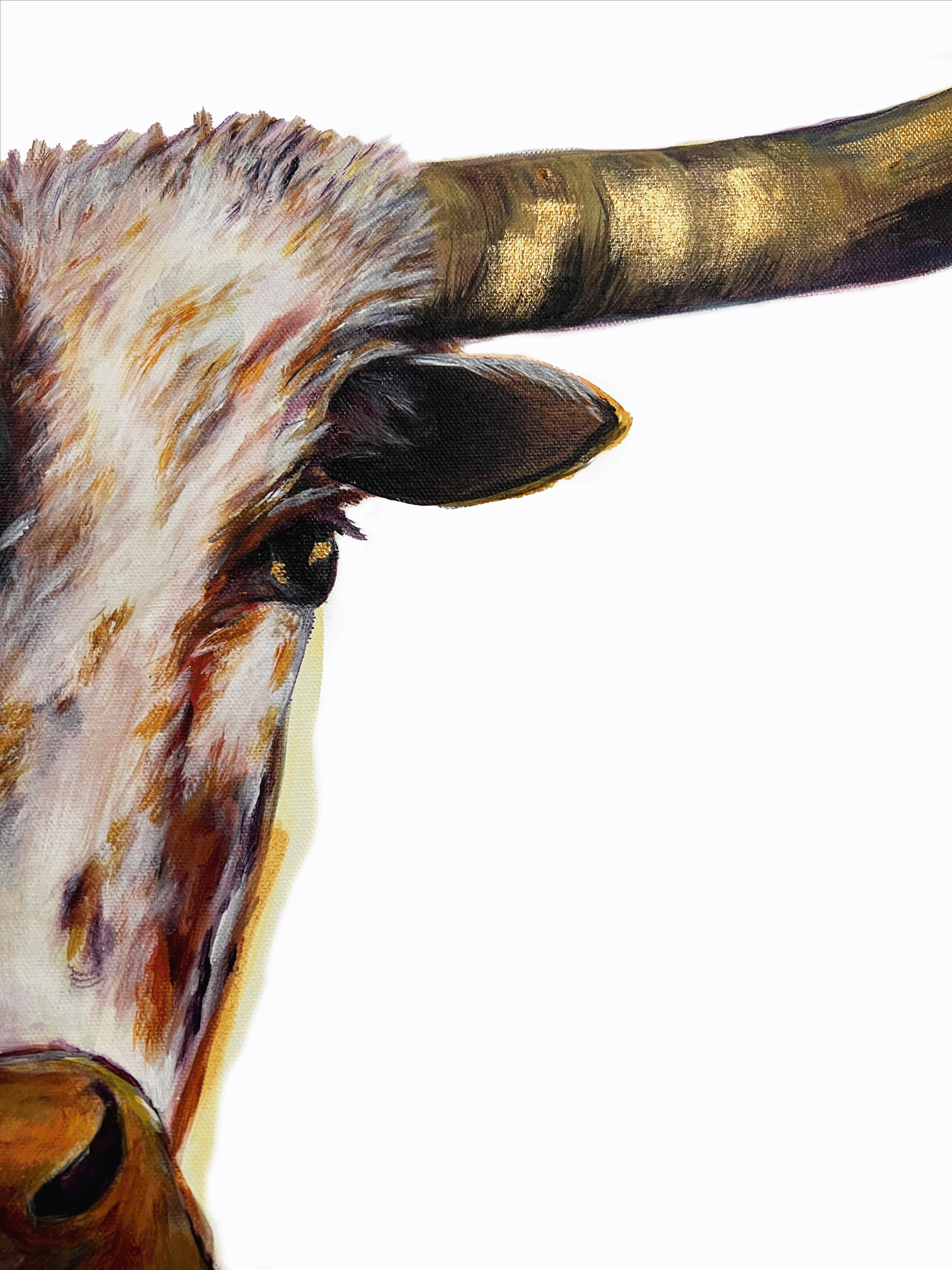 Longhorn close.gif