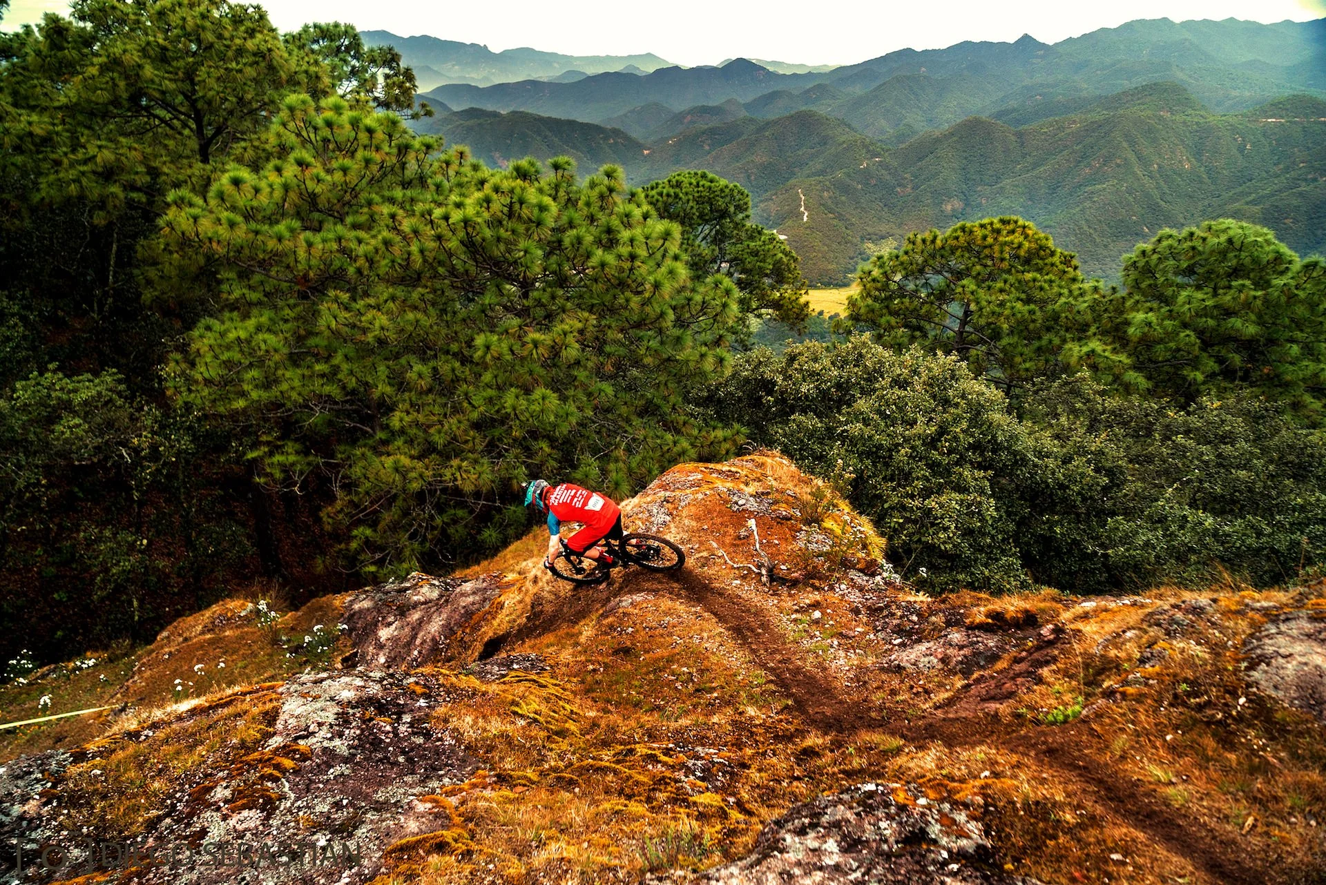 ride local mexico gallery 3.jpg