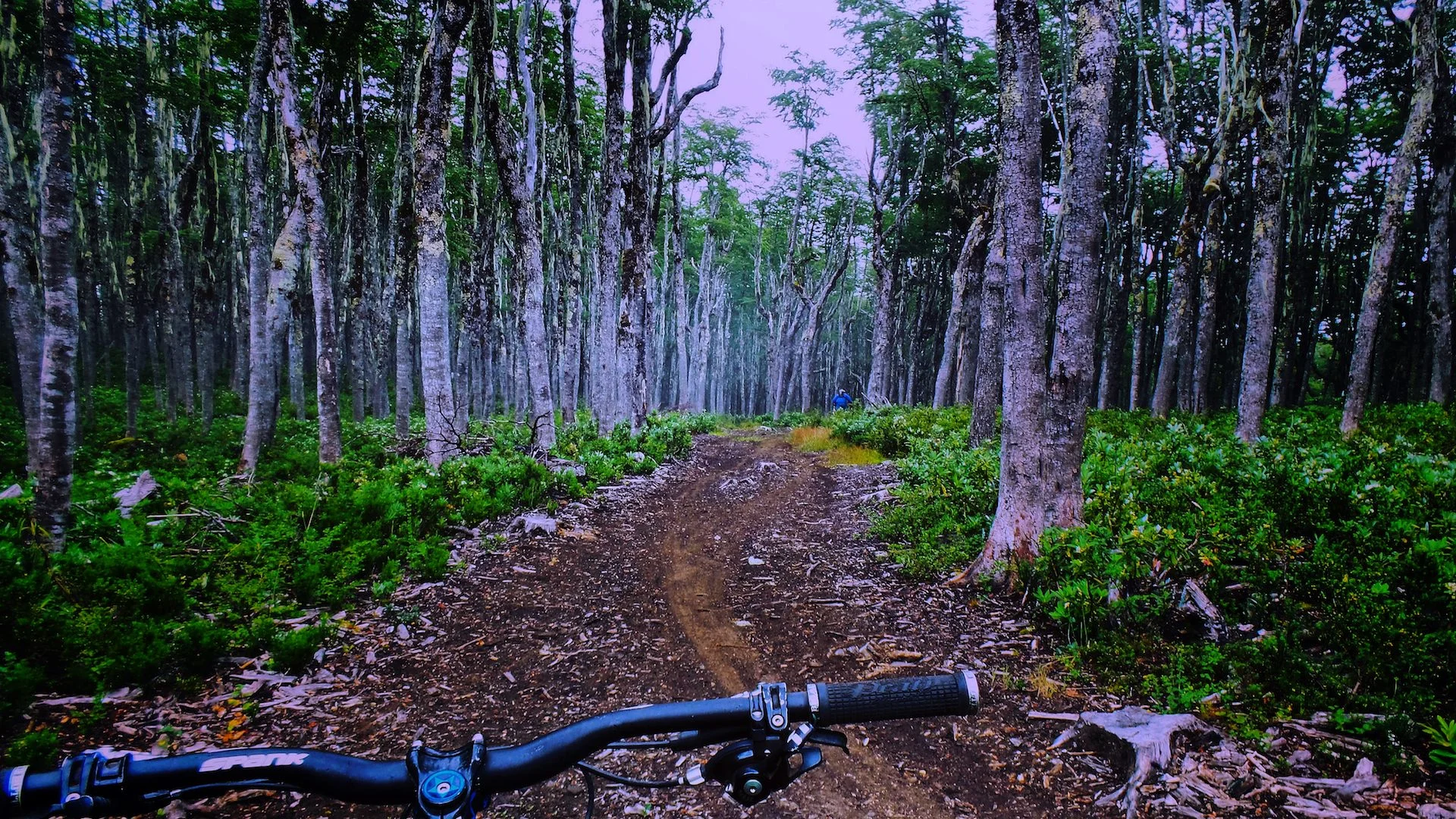 ride local gallery p2.jpg