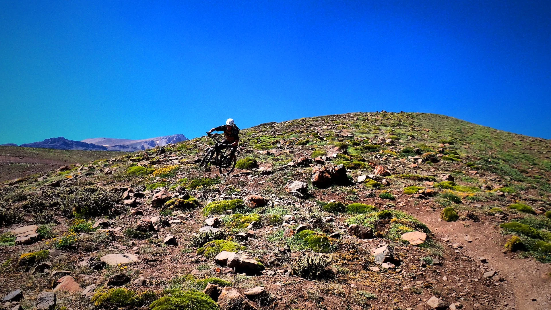ride local gallery p4.jpg