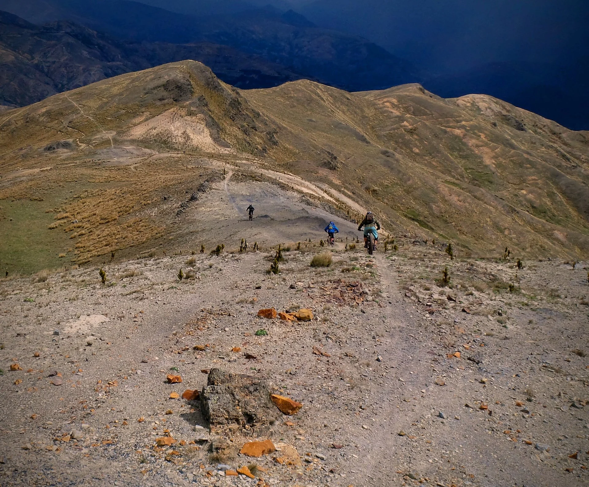 ride local gallery p21.jpg