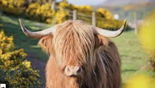 Screenshot 2026-03-12 at 15.23.56.png