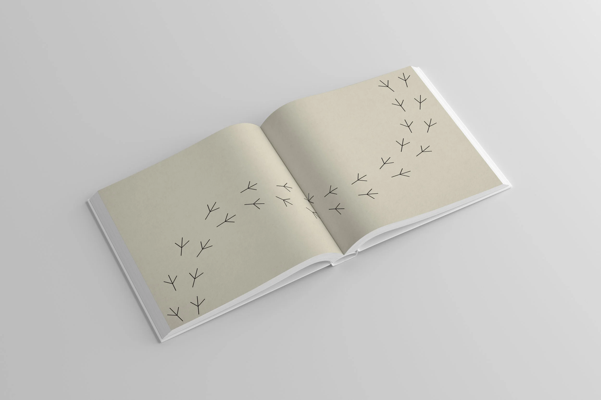 endpaper.jpg