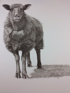 image10.jpeg
