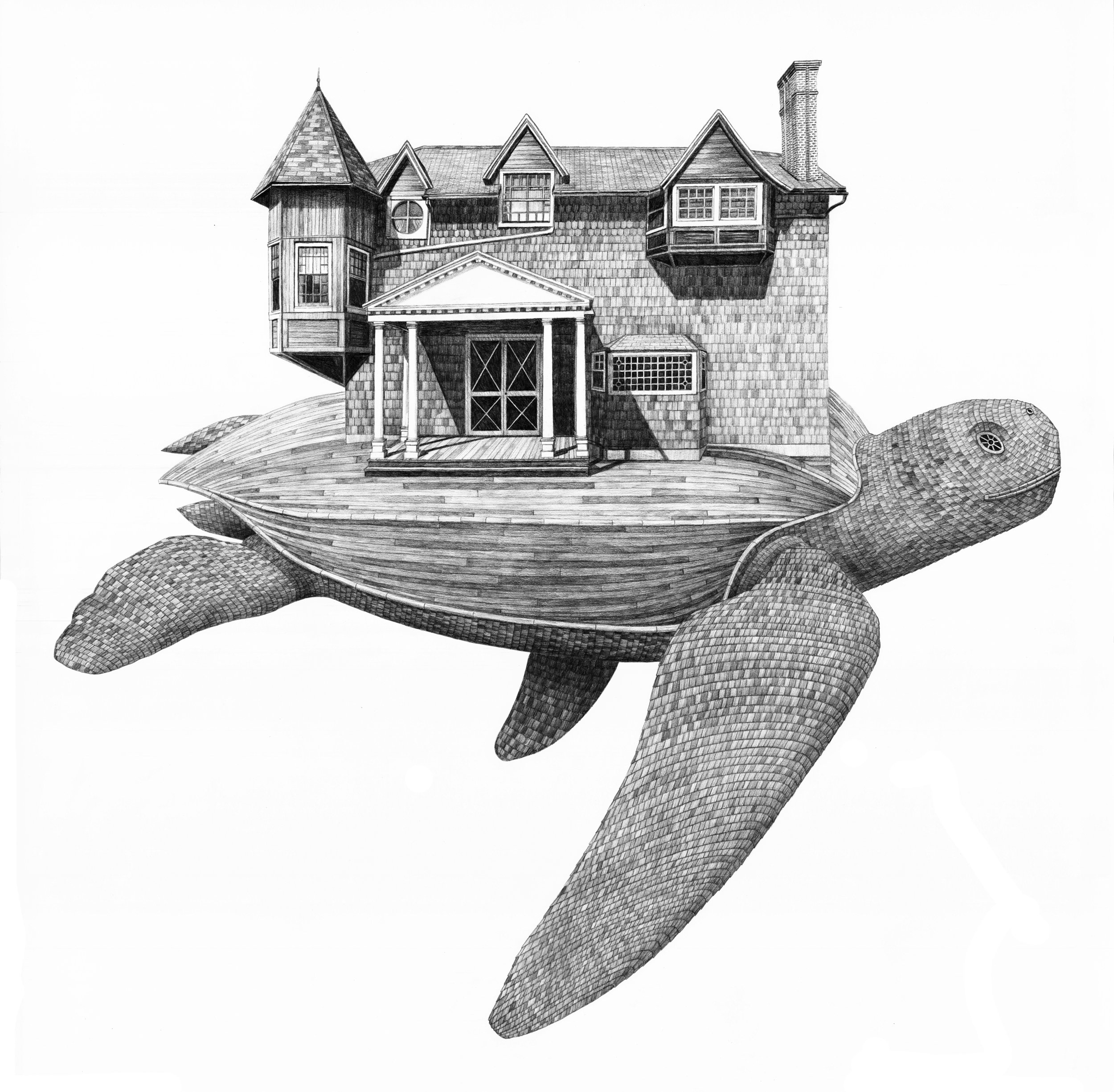 Moran’s Turtle, 2017, graphite on paper, 36 x 36 in, $6,500