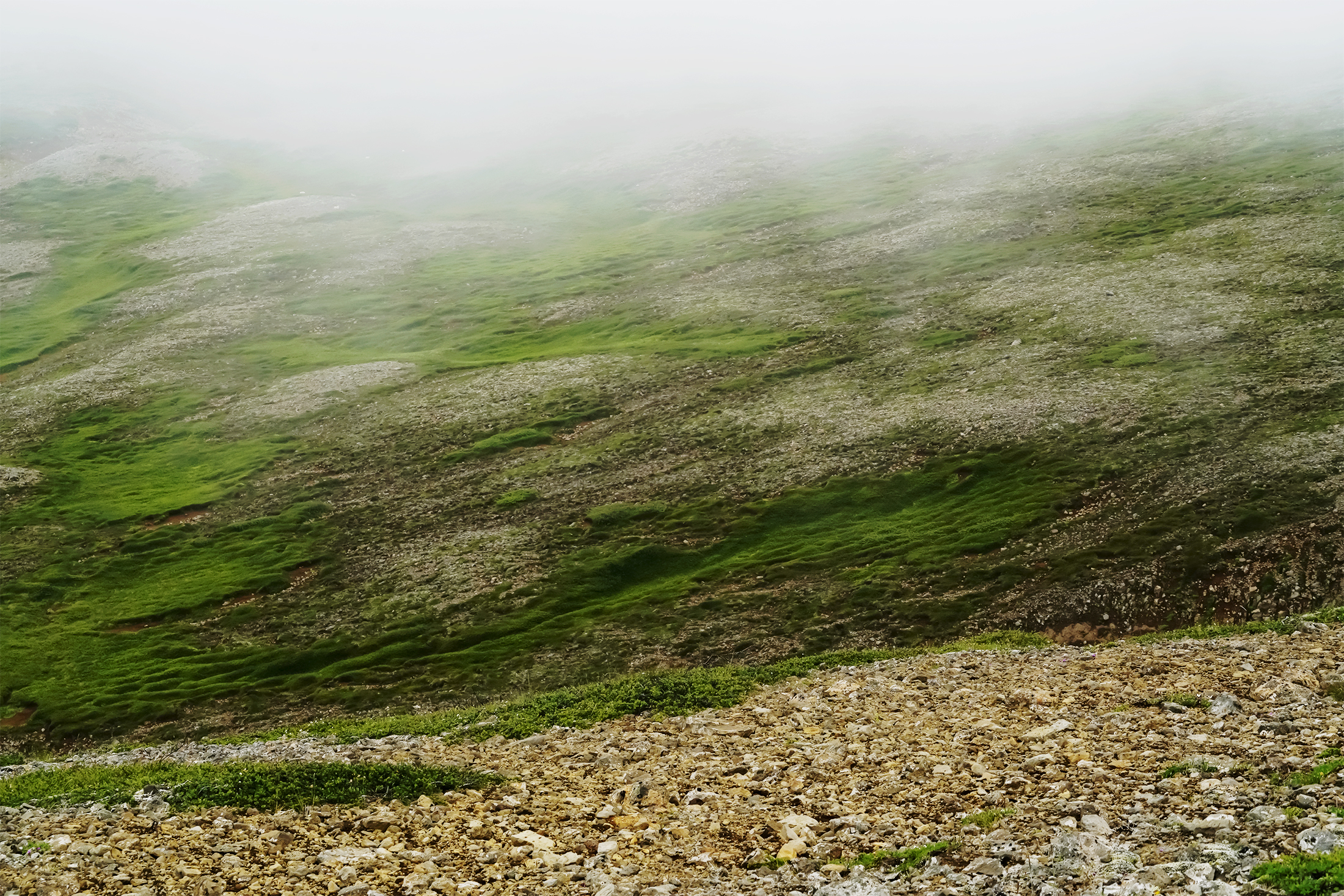 Close Clouds, 2018, photograph, 20 x 30 in, edition of 10, $1,400