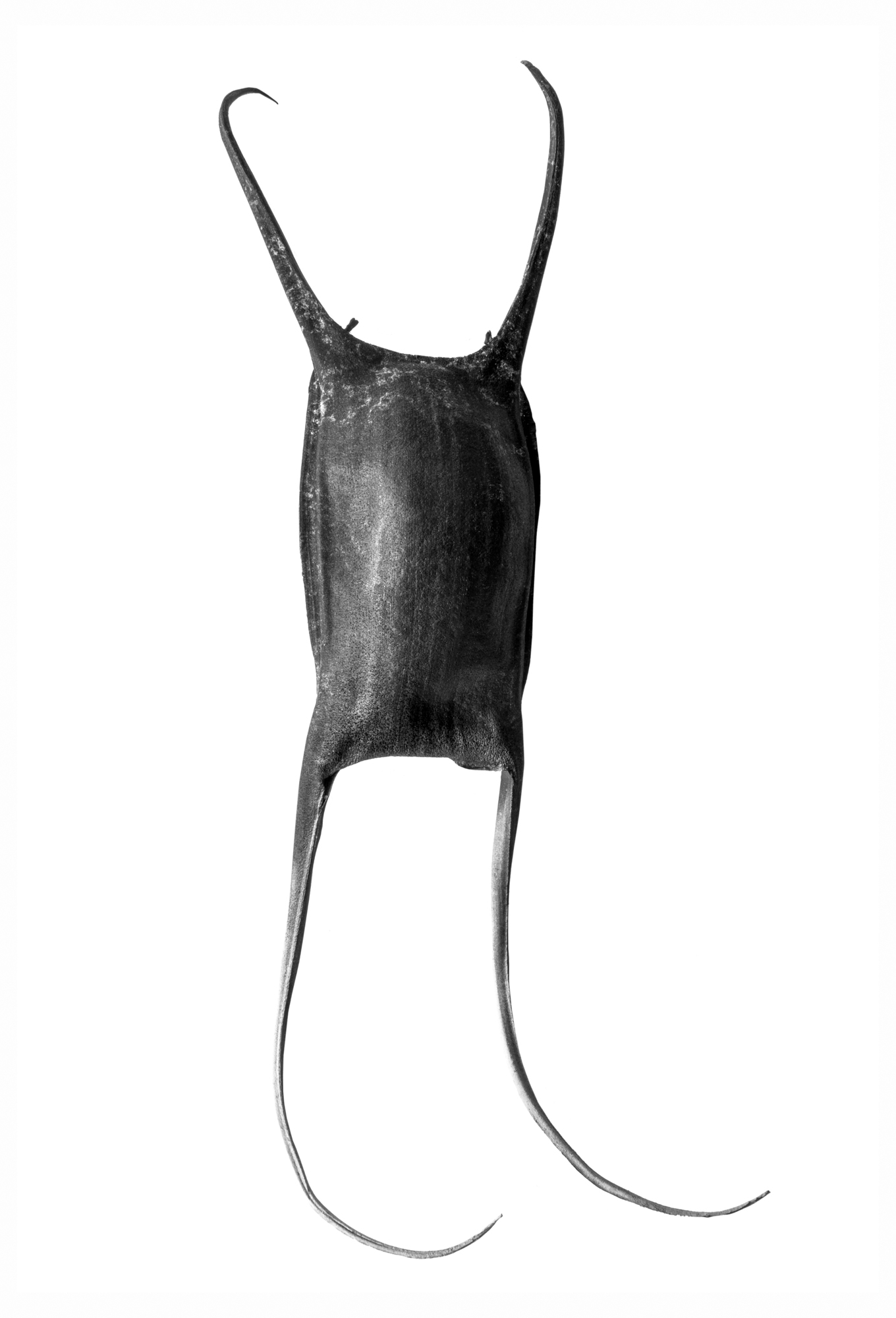 Dancer 1, 2019, print, 40 x 60 in, $6,000 (other sizes available)