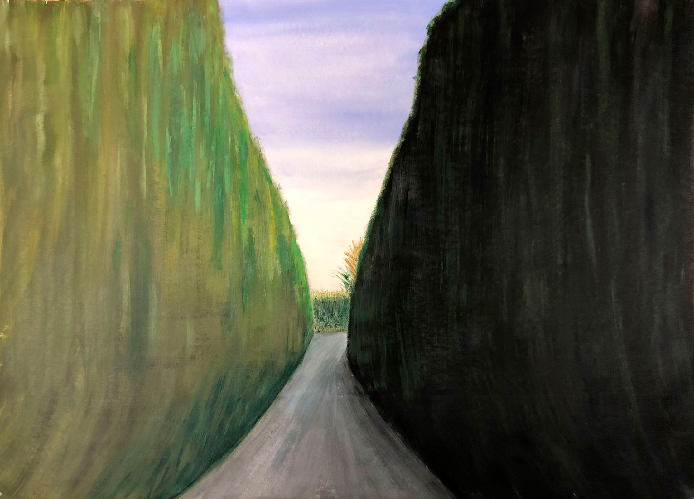 Hedges, 2018, acrylic on canvas, 4 x 6 ft, $7,500