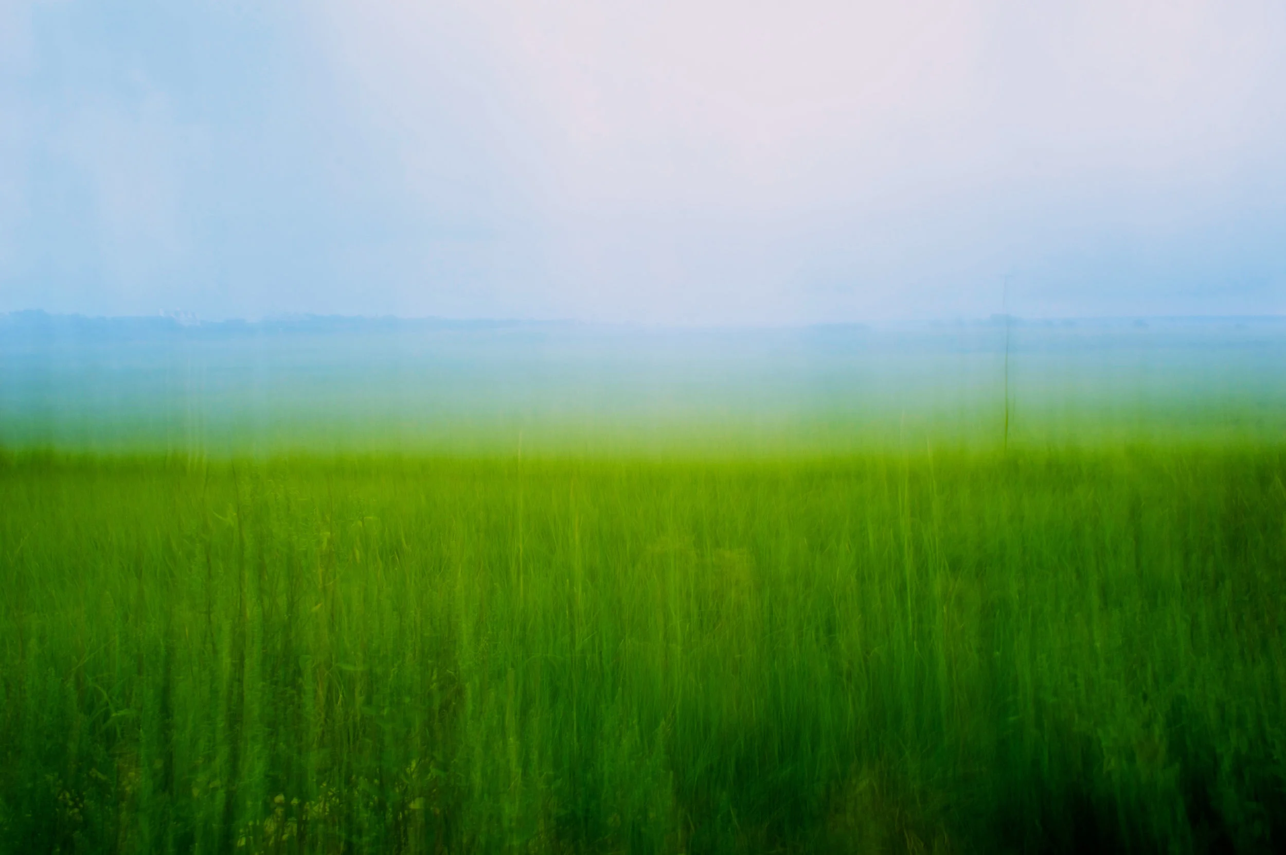 Summer, 2012, digital c print, 30 x 20 in, $1,200