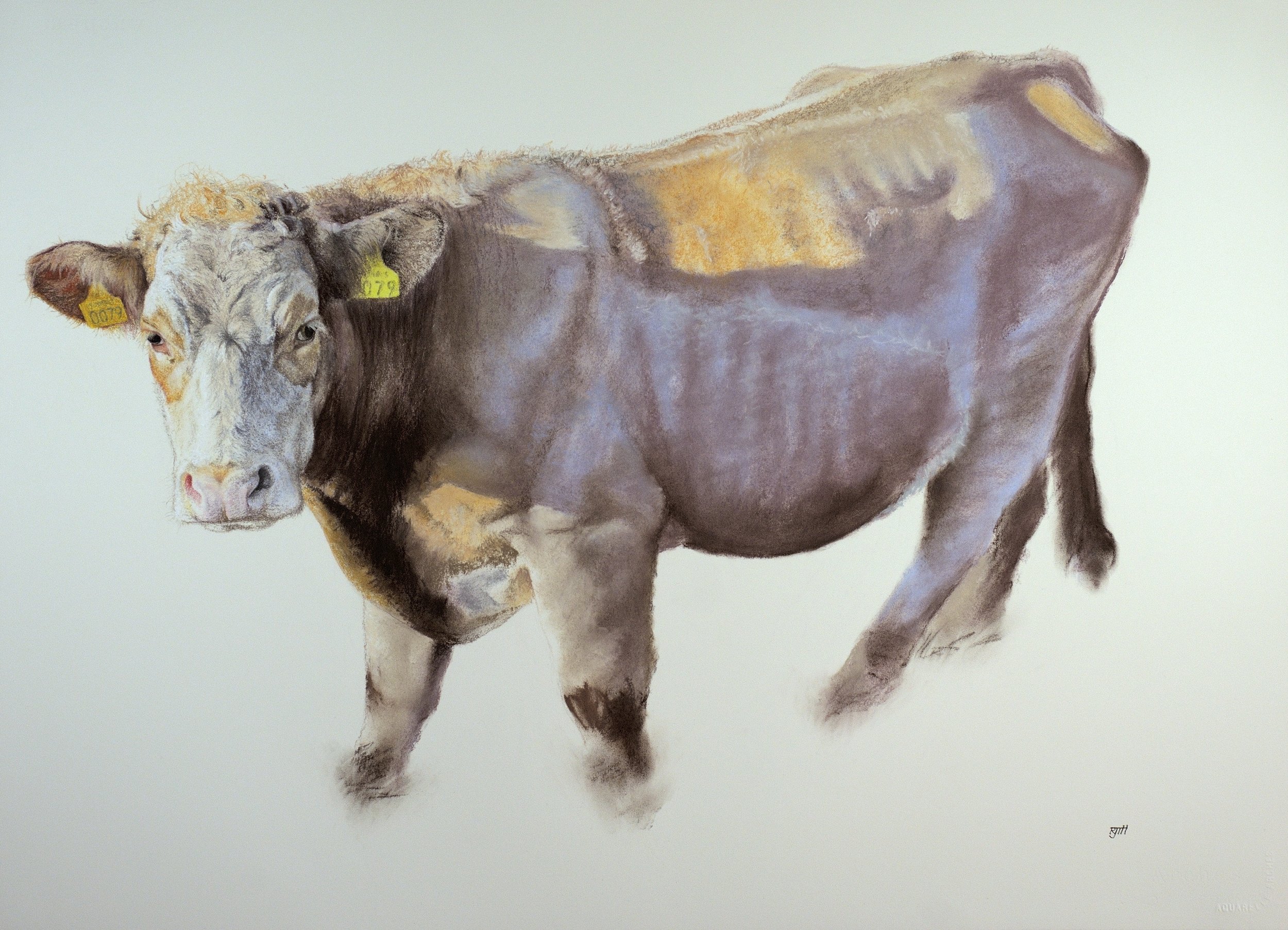 La Vache Qui Ne Rit Pas, 2018, pastel, 23 x 33 in, $5000