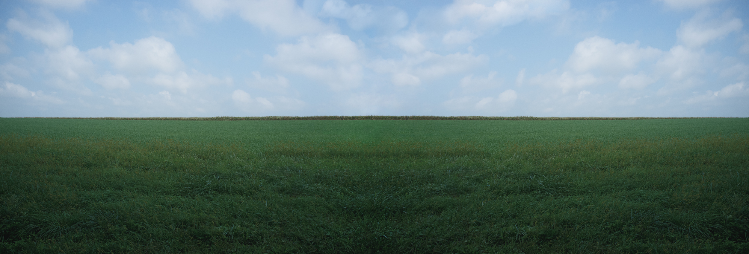 Water Mill Field, 2018, photo on aluminum, 72 x 23.75 in, edition of 5 (2 available), $5,000