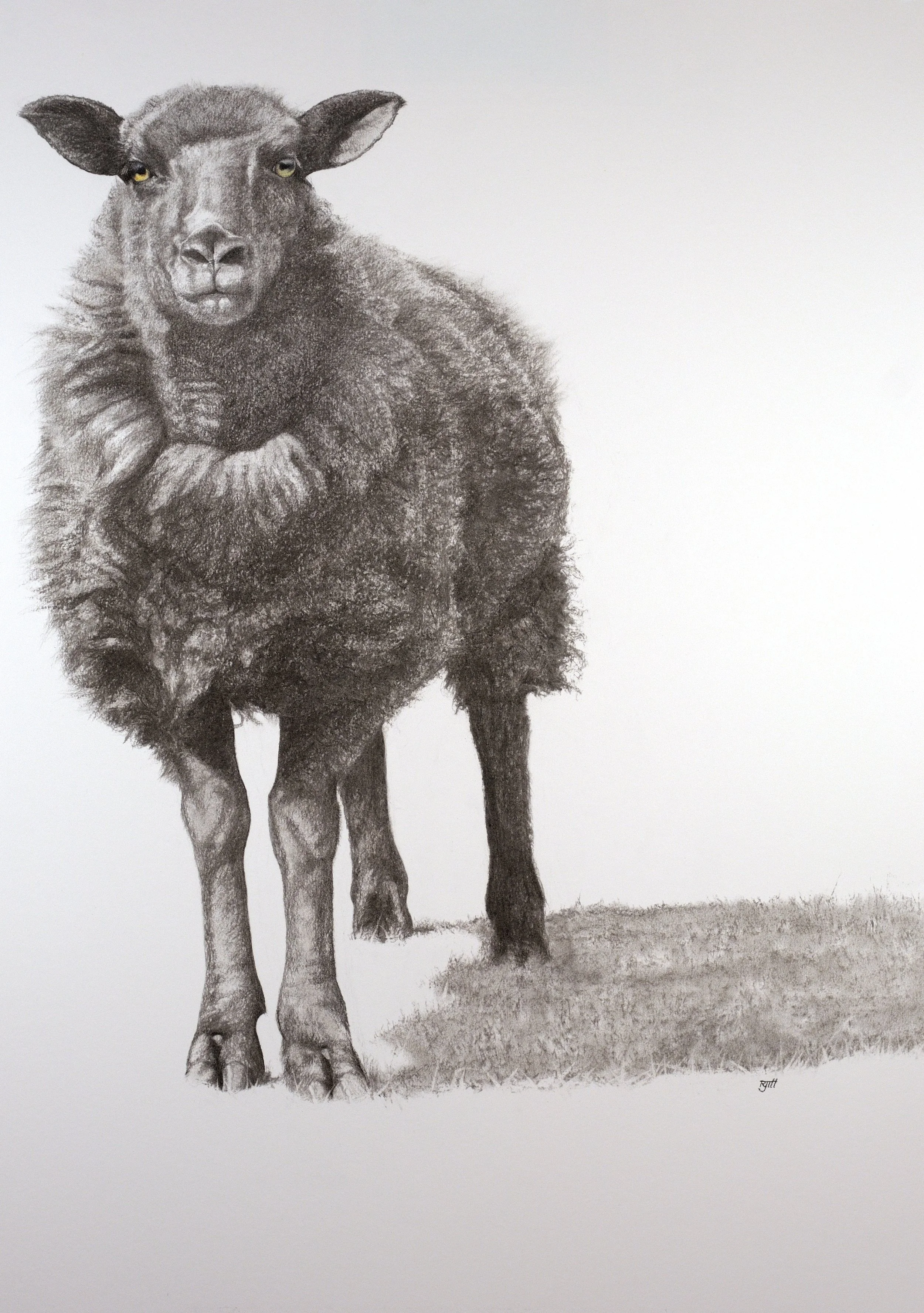 Dark One,2018, charcoal with pastel, 33 x 23 in