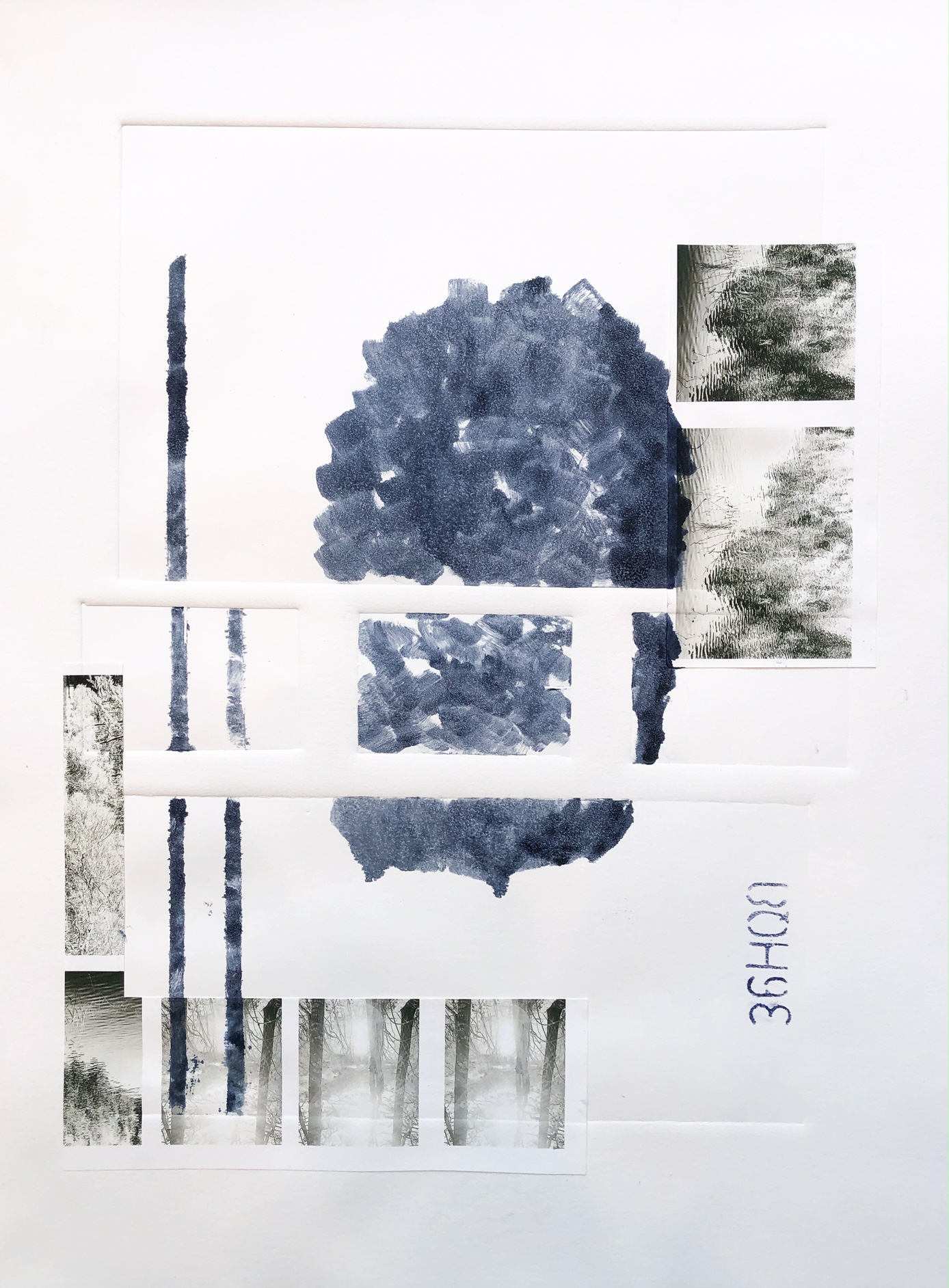 Meditation on a Walk in Northwest Wood, 2019, archival print photographs and monotypes, 24 x 18 in, $1500