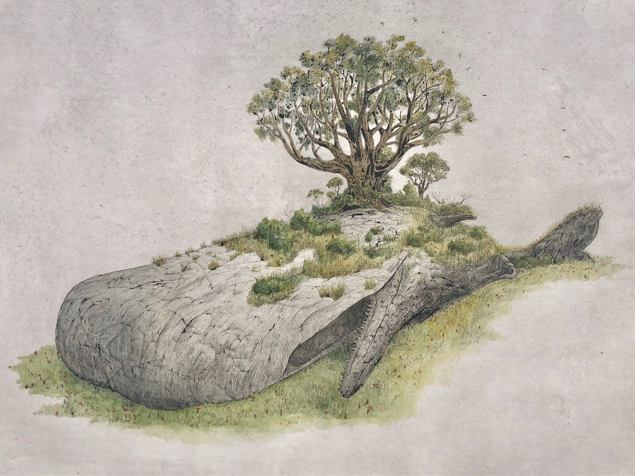 Leviathan, 2019, solar plate etching with watercolor, 12 x 16 in, $900