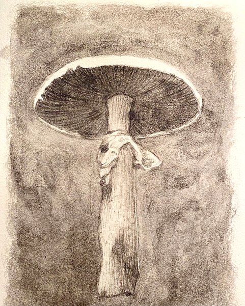 Campestria, 2021, mushroom ink on paper, 9.5 x 5 inches, $850