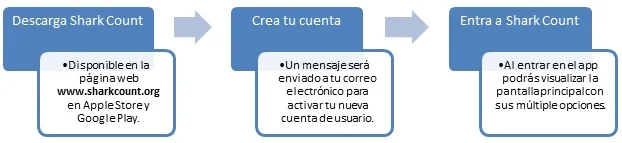 Clic para agrandar.